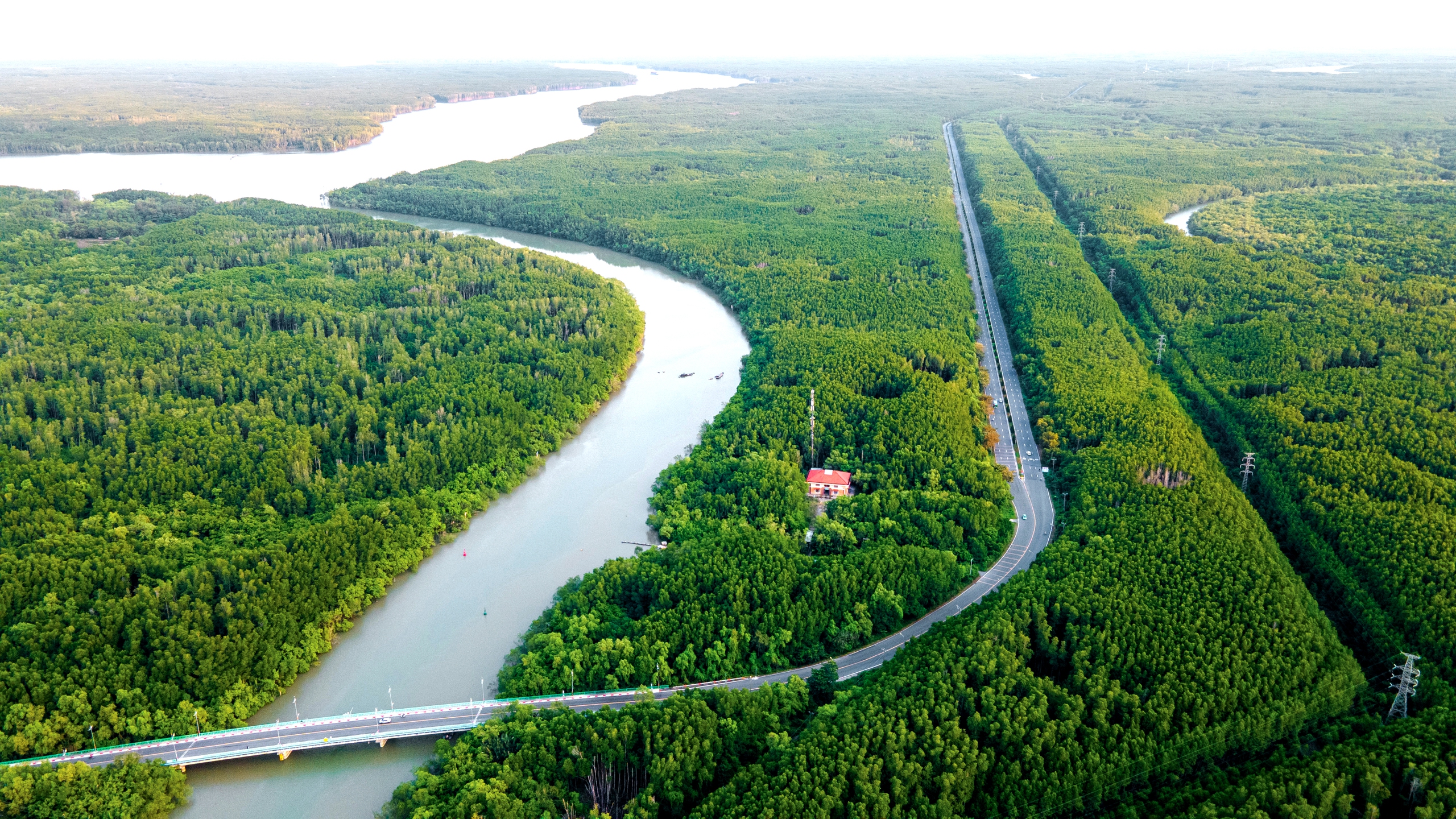 TP.HCM vươn tới đại dương - Ảnh 6.