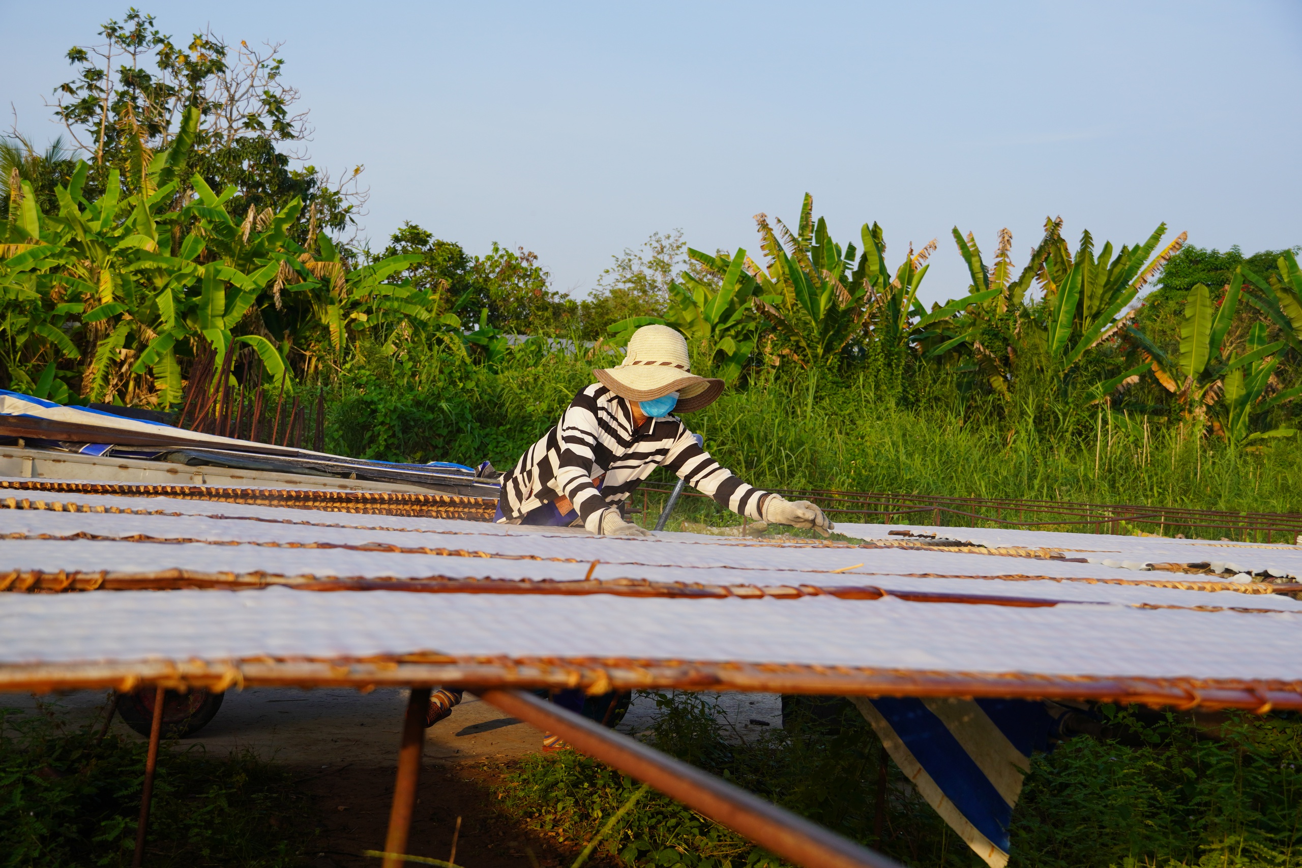 Tết về, thưởng thức đặc sản hủ tiếu Sa Đéc trứ danh - Ảnh 3.