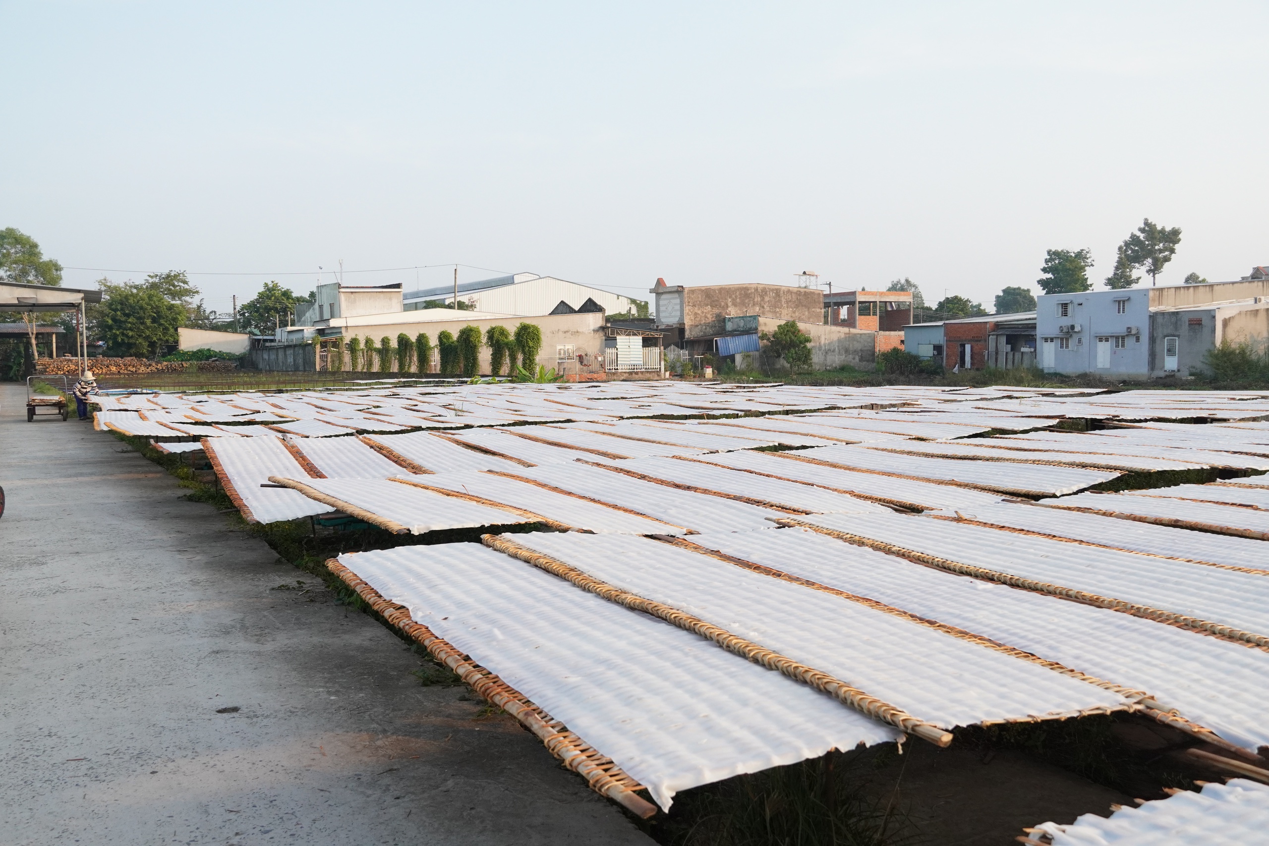 Tết về, thưởng thức đặc sản hủ tiếu Sa Đéc trứ danh - Ảnh 12.