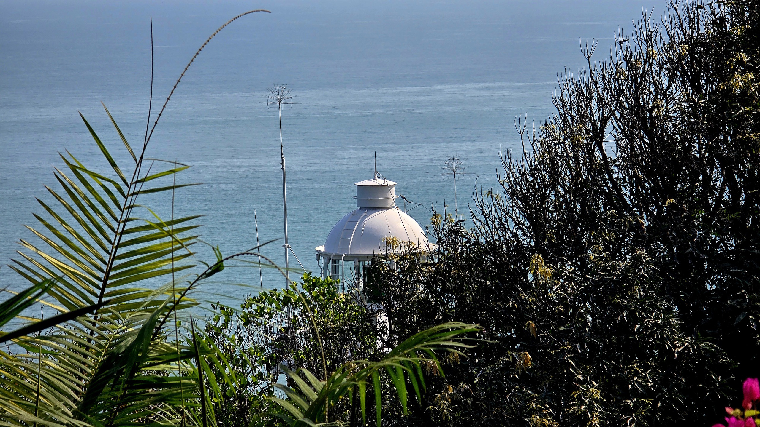 Chinh phục “mắt biển” trăm tuổi trên đỉnh Sơn Trà - Ảnh 2.