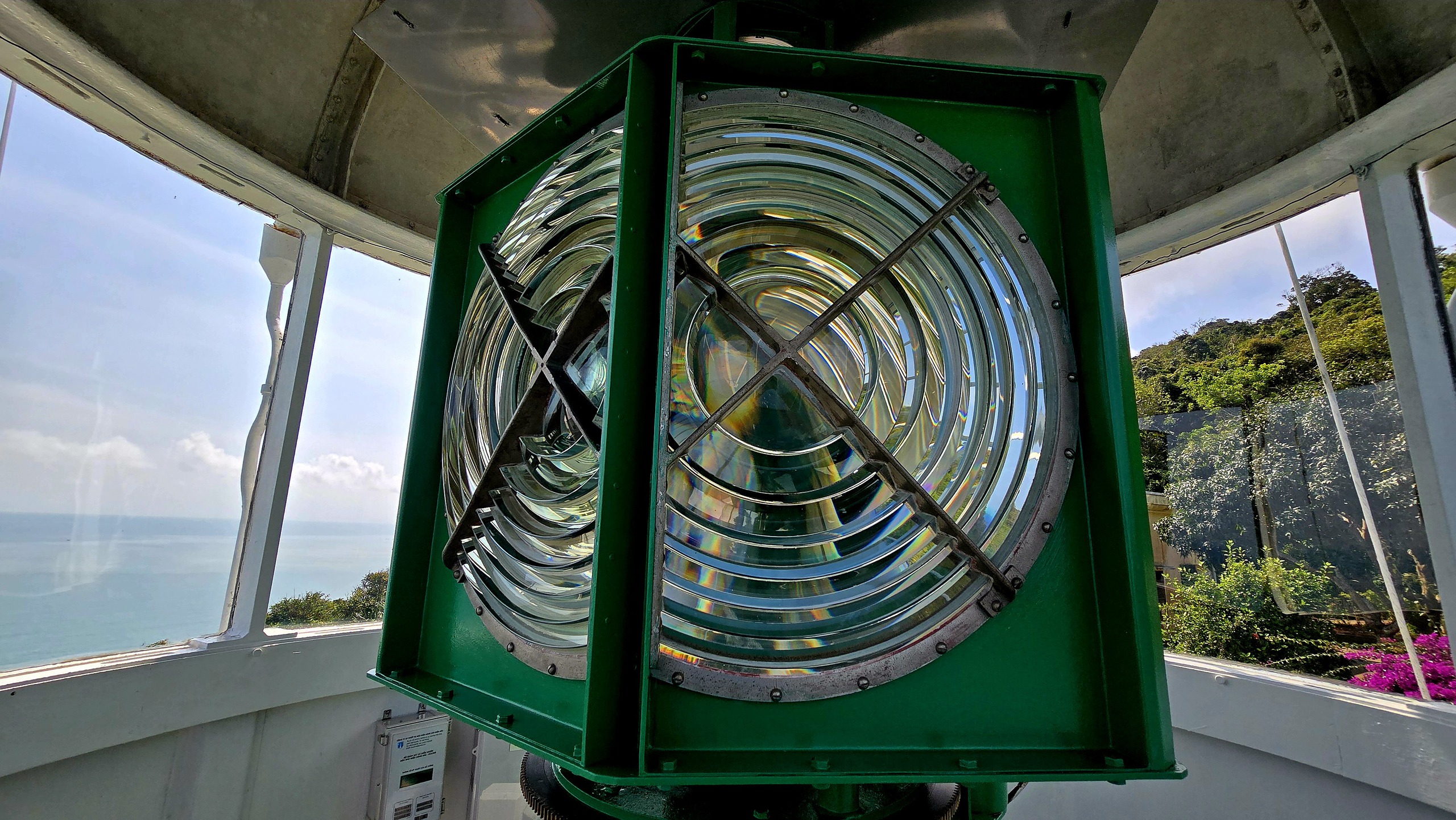 Chinh phục “mắt biển” trăm tuổi trên đỉnh Sơn Trà - Ảnh 4.