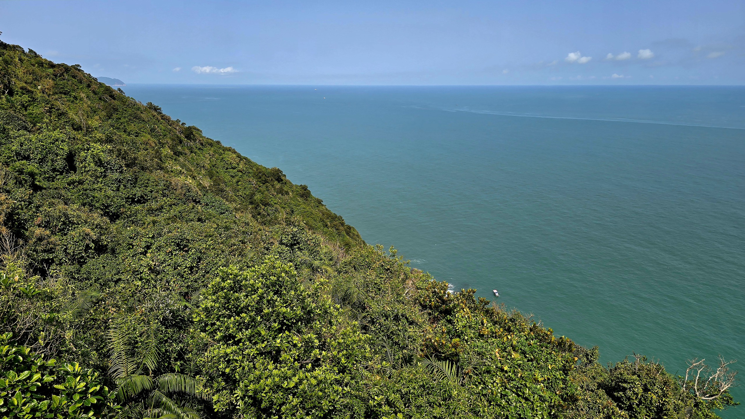 Chinh phục “mắt biển” trăm tuổi trên đỉnh Sơn Trà - Ảnh 5.