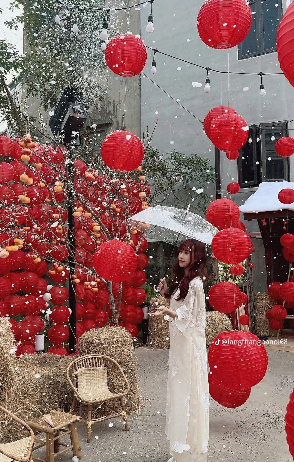 Hà Nội: Gợi ý 5 quán cà phê phù hợp chụp ảnh áo dài, tụ họp đầu năm - 5
