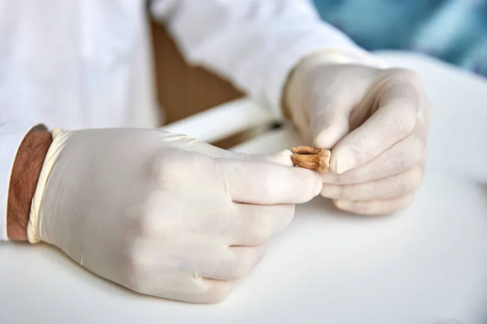 1771568118 781 Giai ma tu giao si phoi kho den dao quan