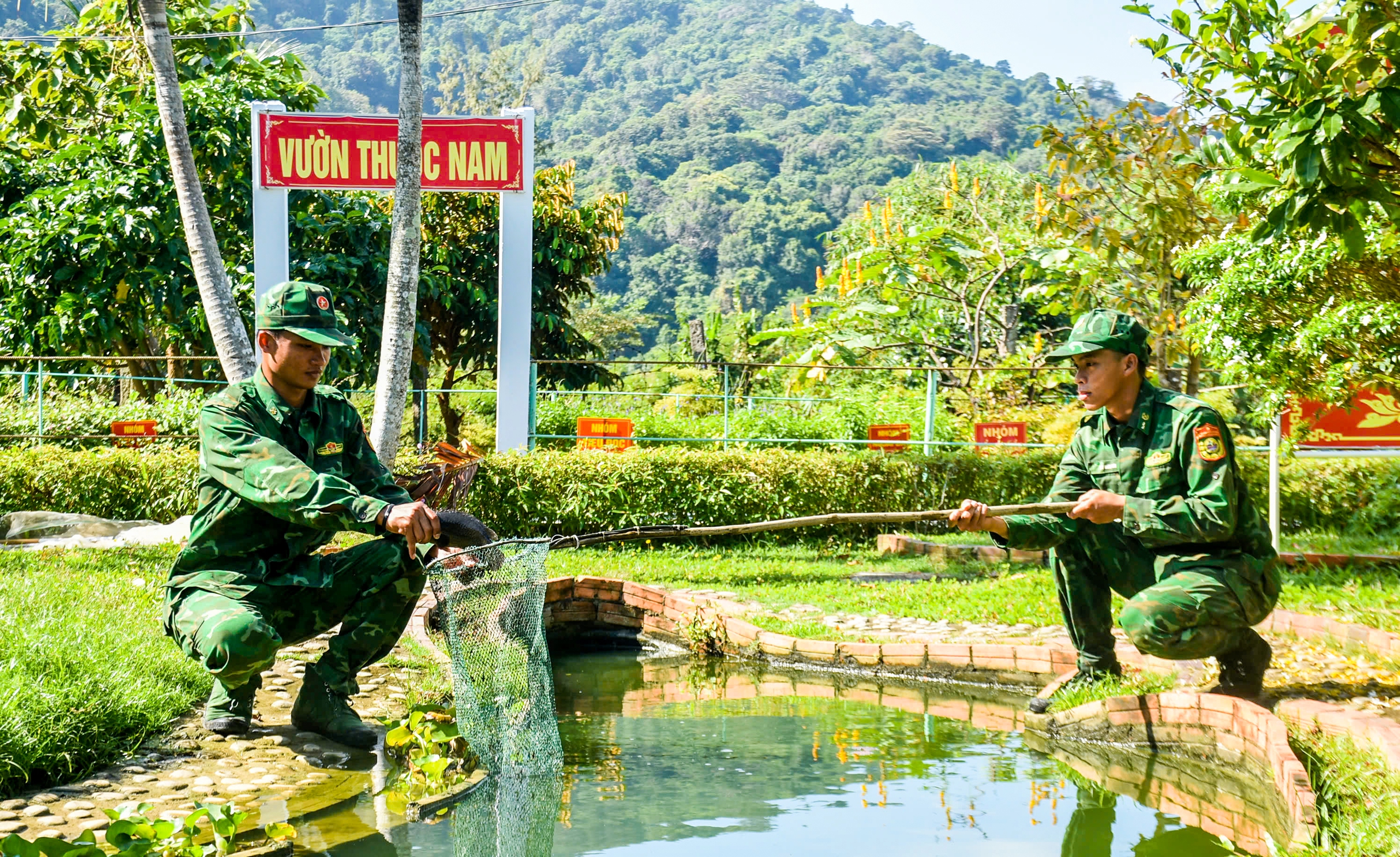 Phủ xanh đảo tiền tiêu giữa trùng khơi gió mặn 5 Hòn Khoai - Ảnh 5.