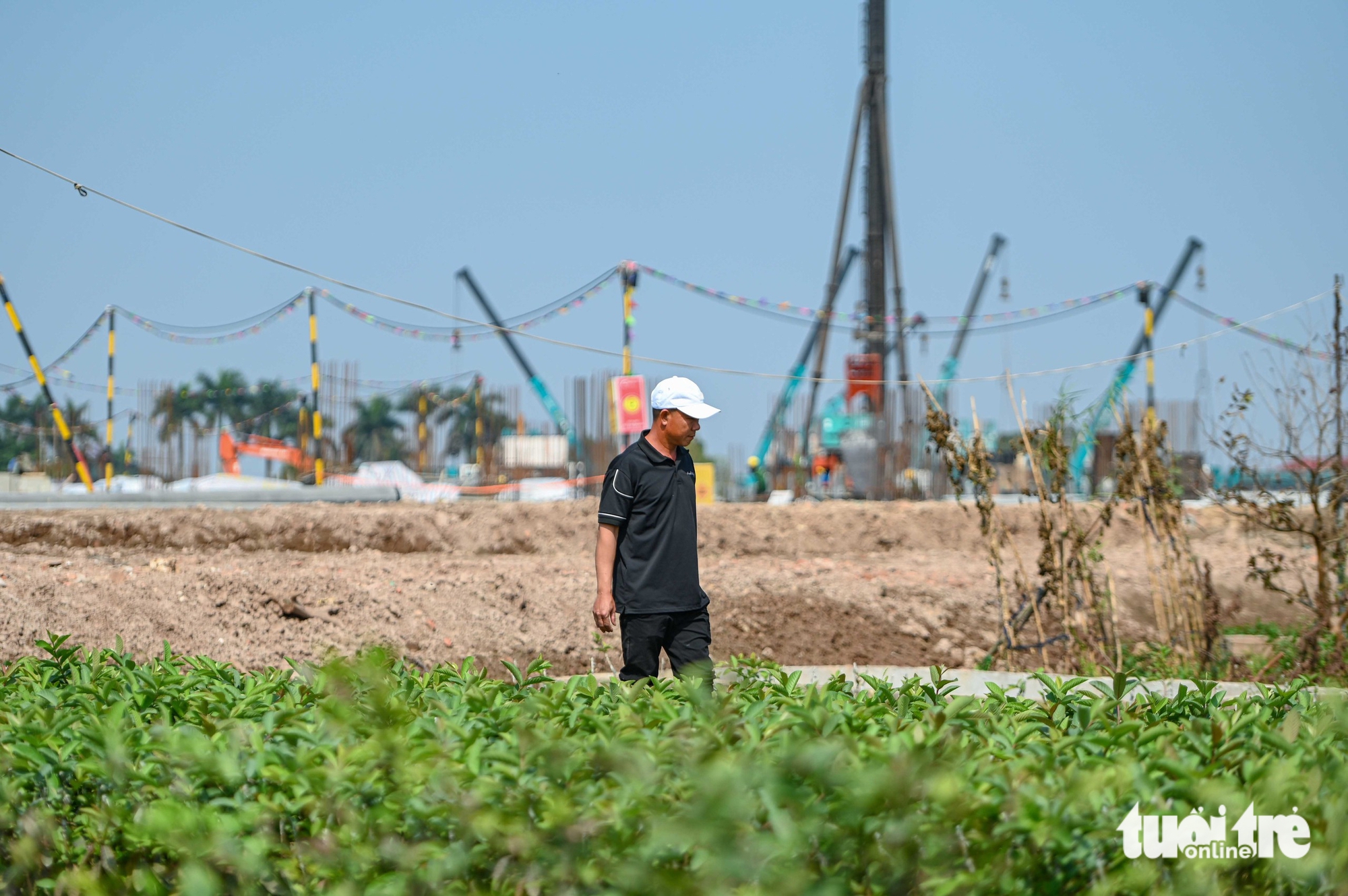 sân vận động - Ảnh 14.