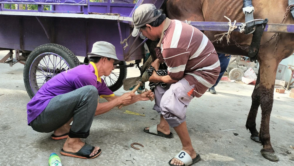 cồn Thới Sơn 8.jpg