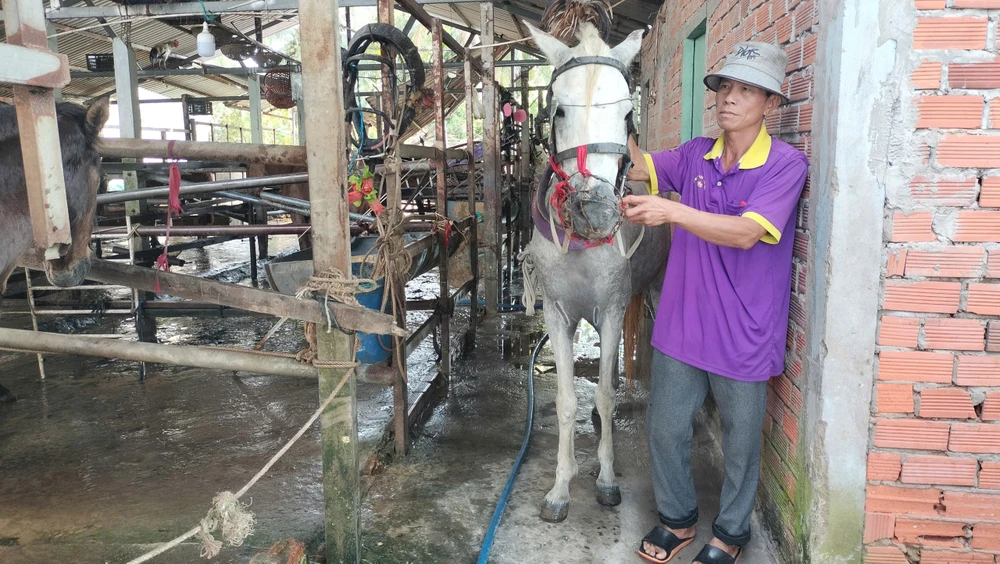 cồn Thới Sơn 6.jpg