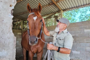Vó ngựa Đức Hoà tiếng vang từ quá khứ đến giấc mơ hồi sinh 