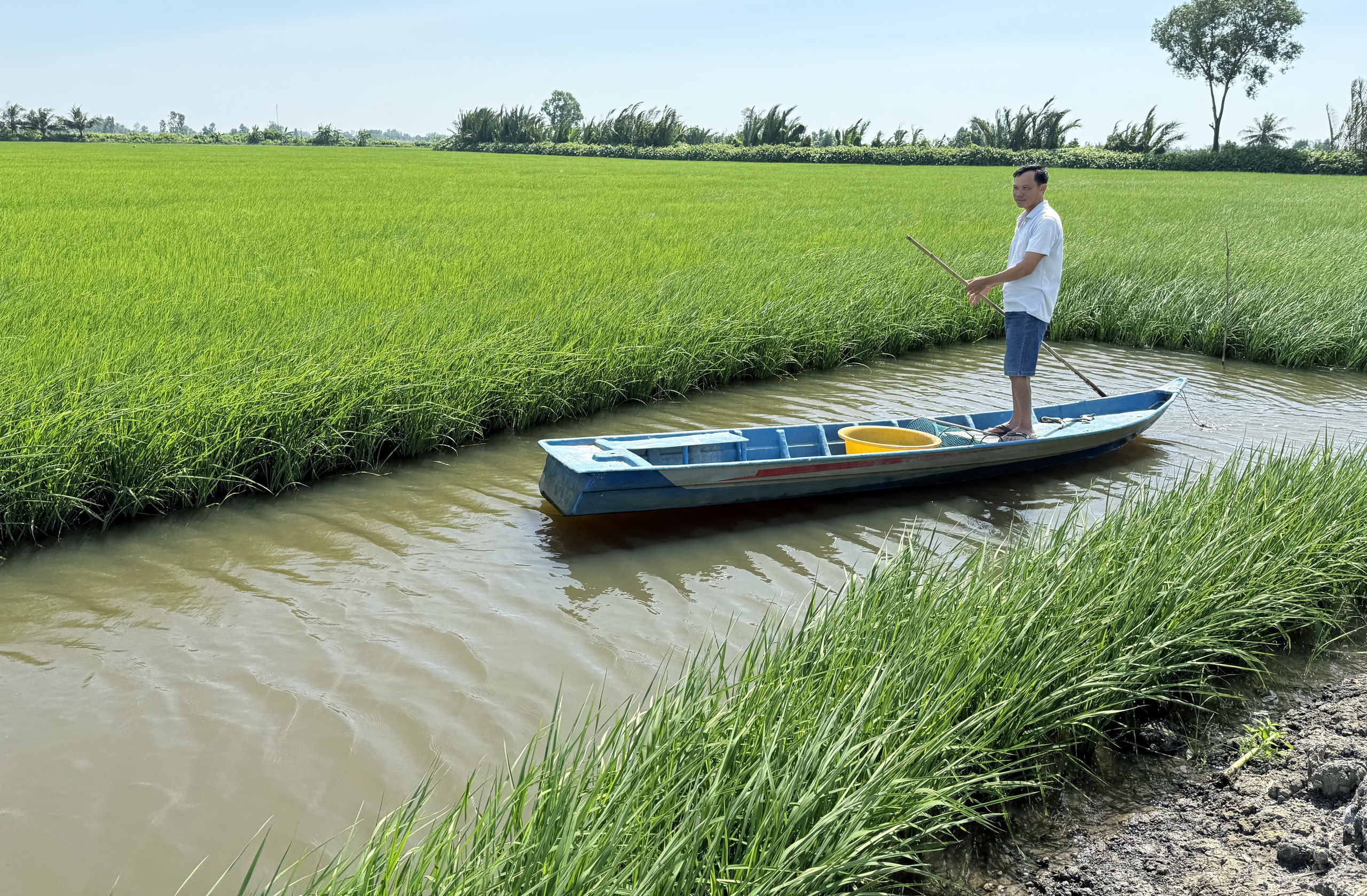 Kỳ tích “bí thư lúa” - Ảnh 4.