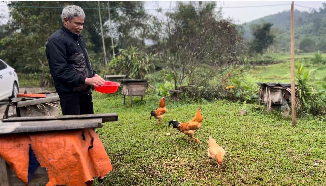 Chuyện về người đàn ông mù và hành trình làm chủ 40 tổ ong- Ảnh 2.