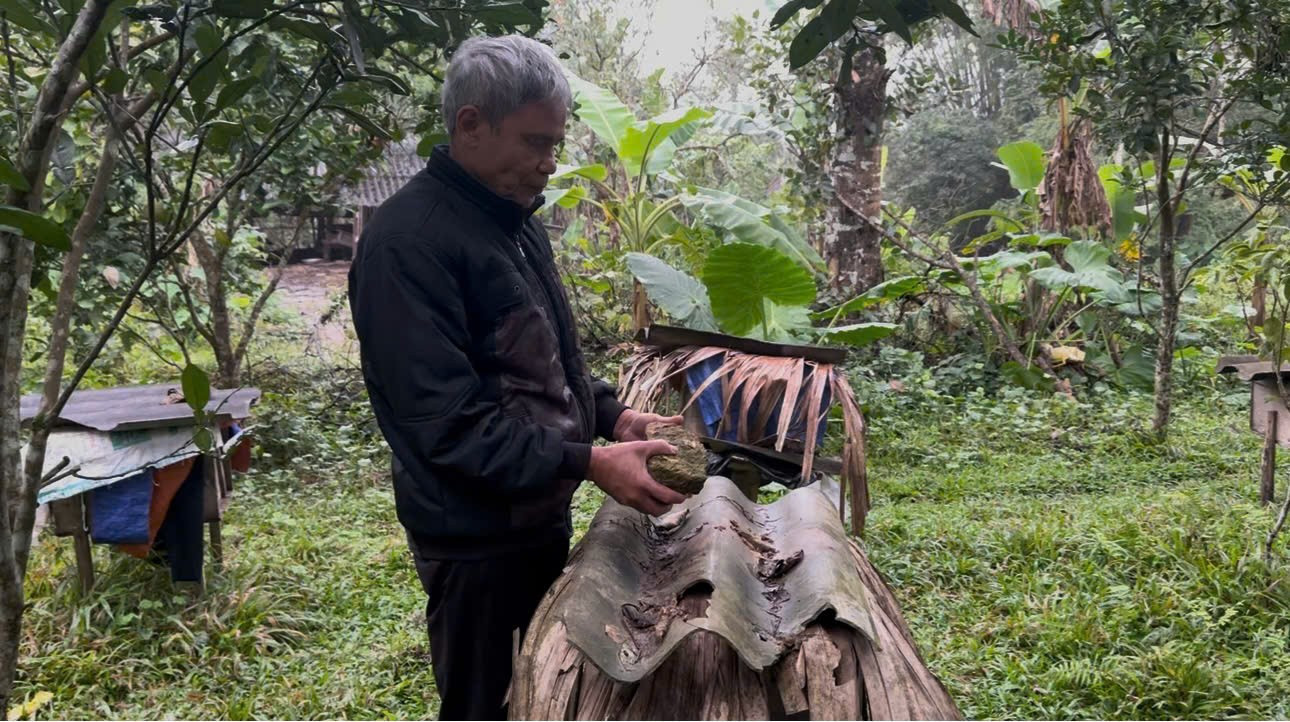 Chuyện về người đàn ông mù và hành trình làm chủ 40 tổ ong- Ảnh 3.