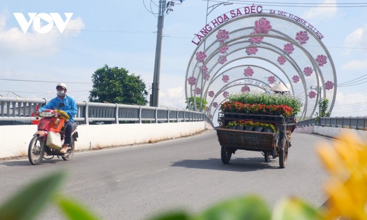 Đầu xuân về Sa Đéc cảm nhận tình đất, tình người 4 Đường vào làng hoa Sa Đéc