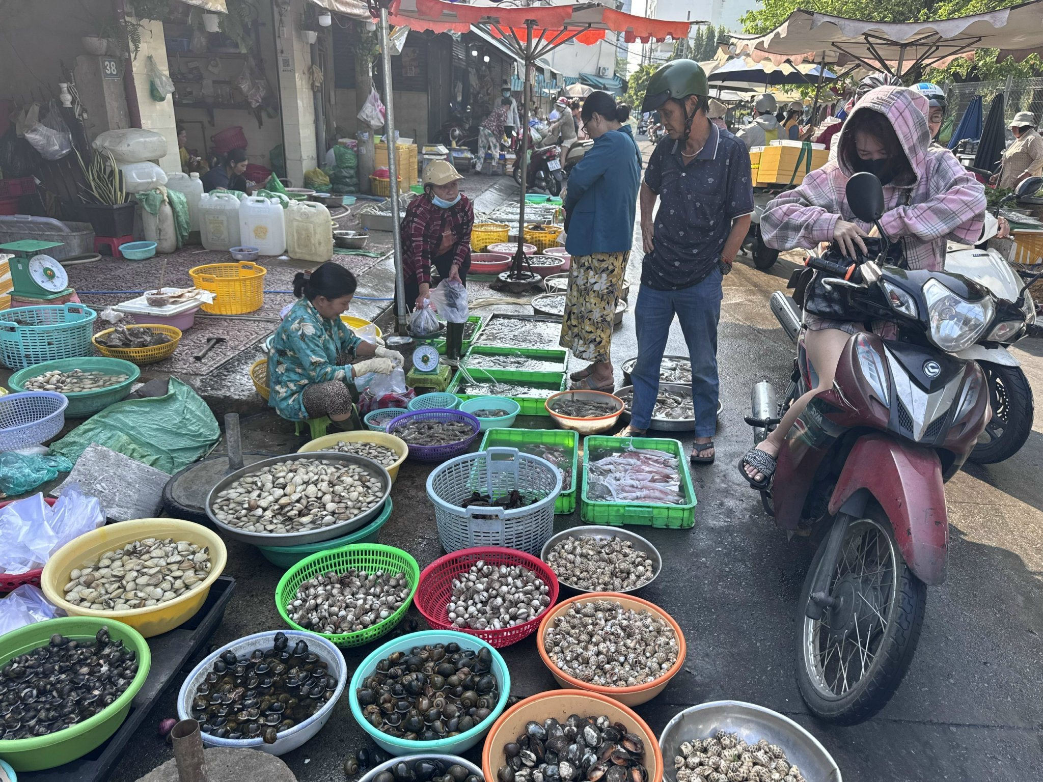 Giá hải sản cao sau Tết tại TP HCM: Tình hình thị trường 2026 - Ảnh 4.