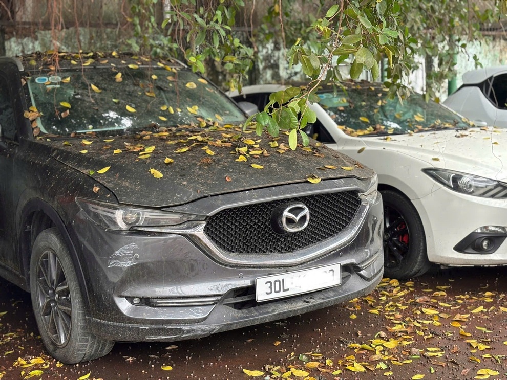 Các tác nhân gây hại và cách bảo vệ sơn ô tô - 2