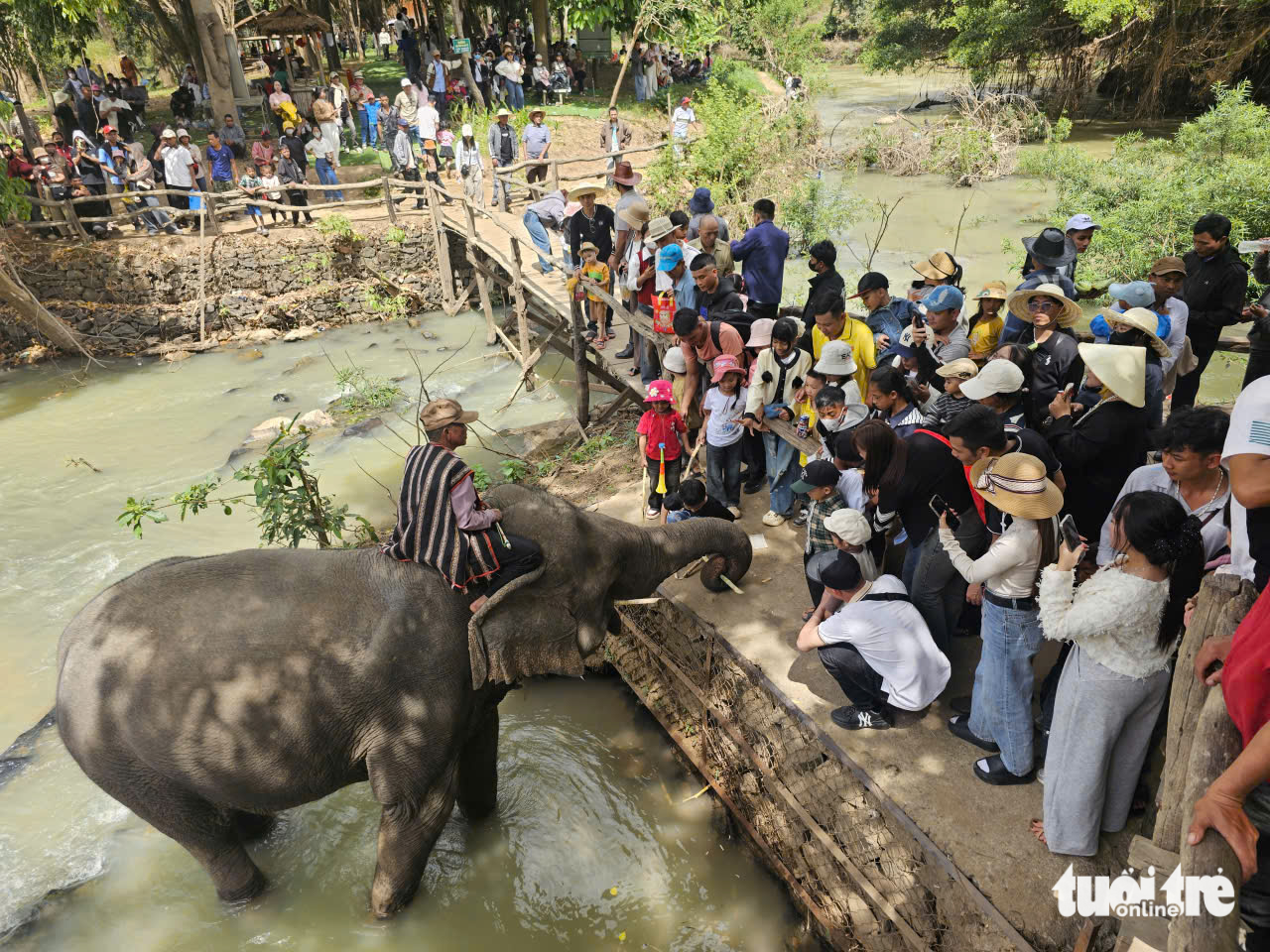 Đắk Lắk  - Ảnh 4.