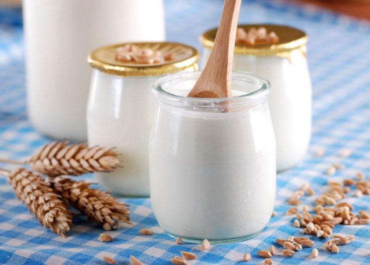 Sữa chua giúp cân bằng hệ vi sinh đường ruột, giảm cảm giác đầy hơi và hỗ trợ tiêu hóa.