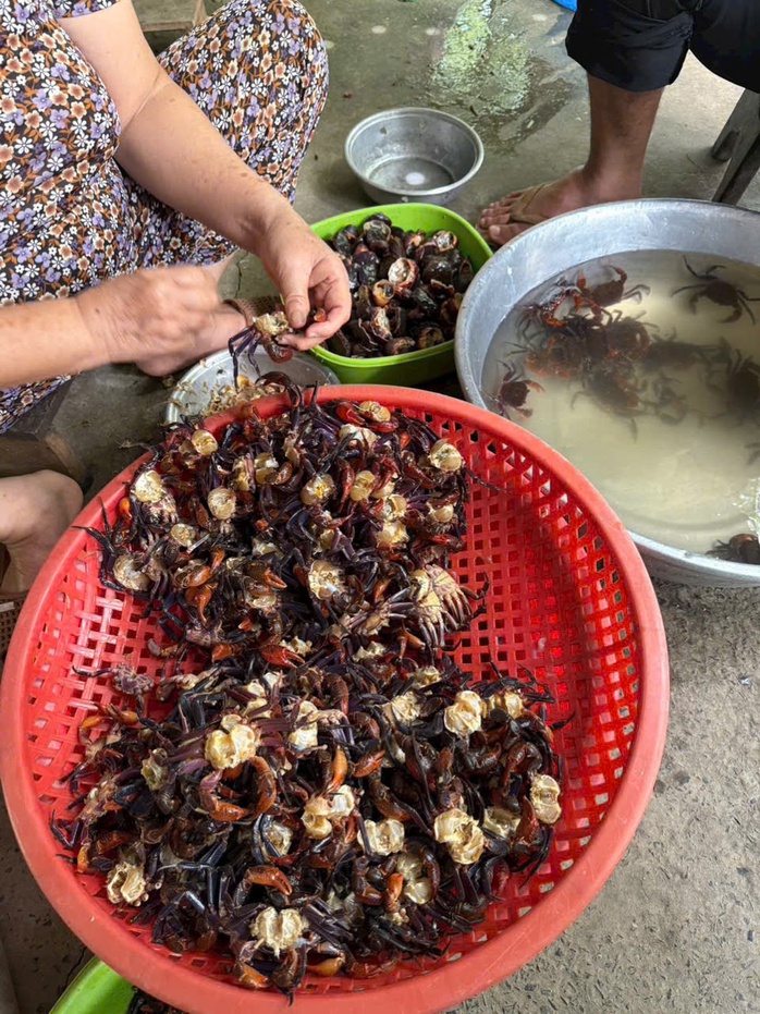 Lý do mắm cua núi giá 800 . 000 Đồng / kg và sự hấp dẫn của đặc sản An Giang - Ảnh 7.