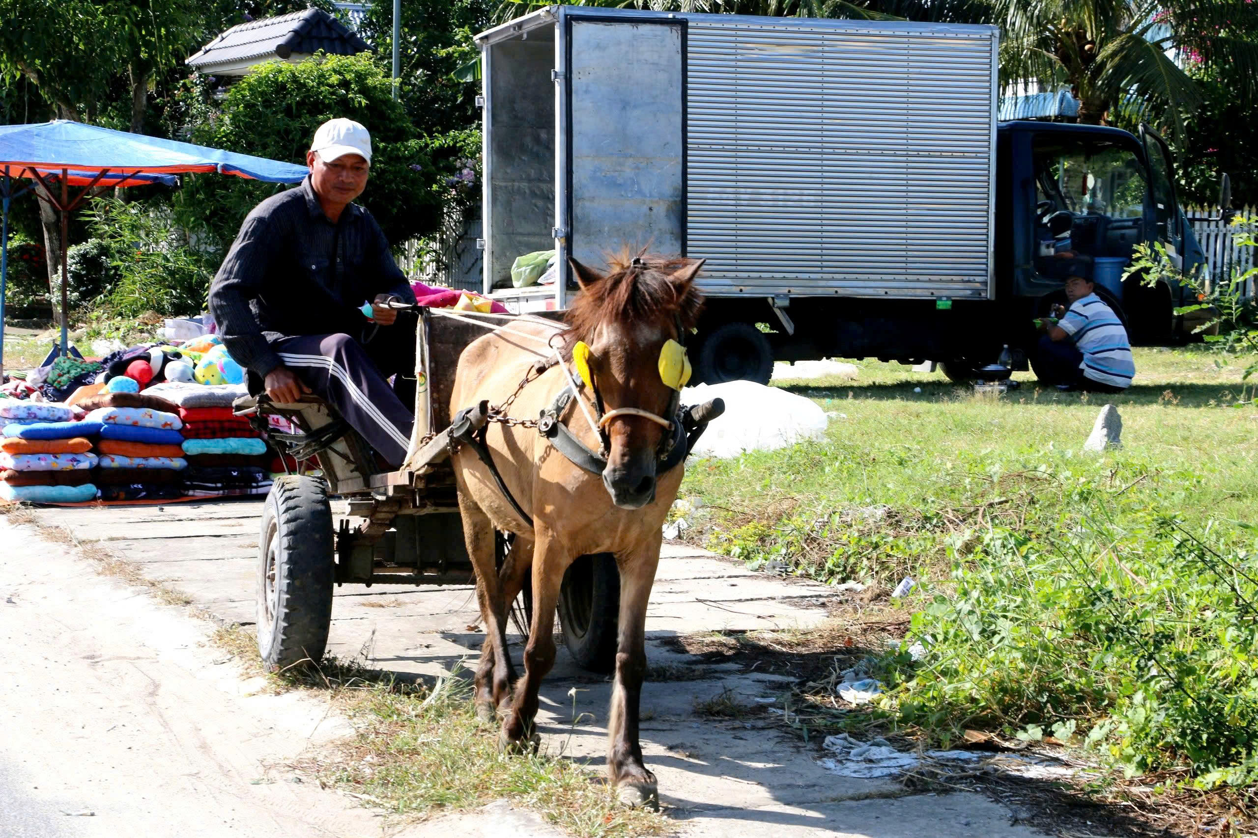 Những người nài ngựa cuối cùng ở vùng Bảy Núi: Di sản văn hóa đang dần biến mất - Ảnh 2. Những người nài ngựa cuối cùng ở vùng Bảy Núi: Di sản văn hóa đang dần biến mất - Ảnh 2.