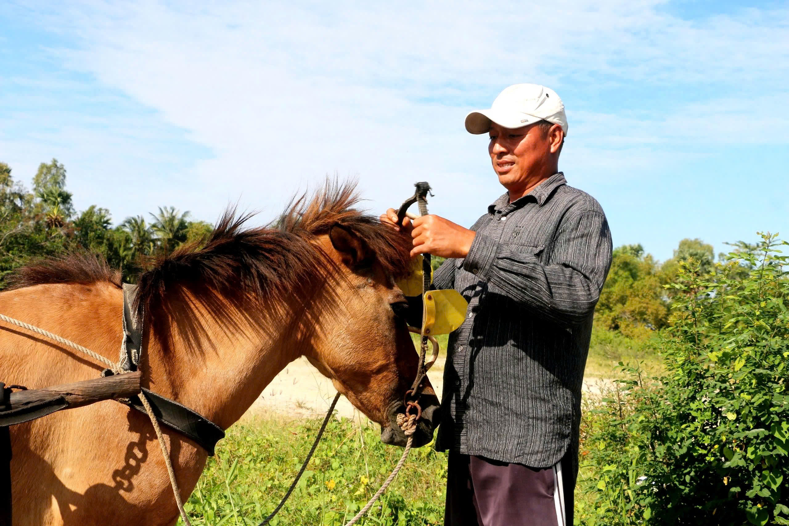 Những người nài ngựa cuối cùng ở vùng Bảy Núi: Di sản văn hóa đang dần biến mất - Ảnh 3. Những người nài ngựa cuối cùng ở vùng Bảy Núi: Di sản văn hóa đang dần biến mất - Ảnh 3.