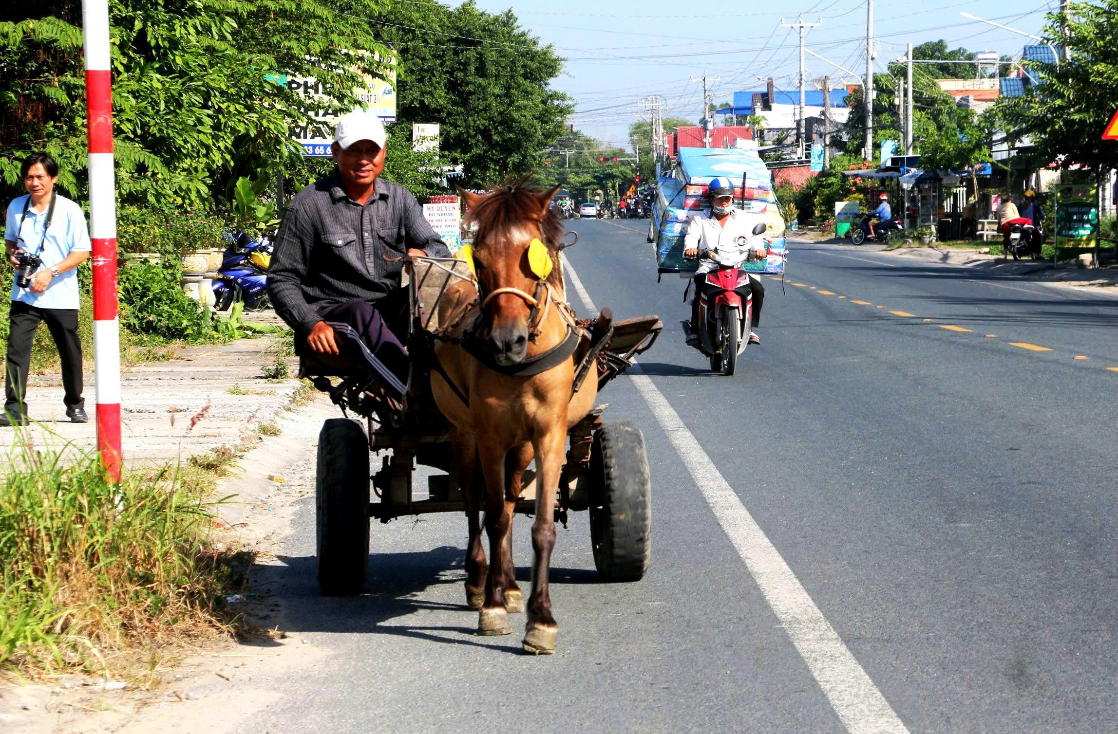 Những người nài ngựa cuối cùng ở vùng Bảy Núi: Di sản văn hóa đang dần biến mất - Ảnh 4. Những người nài ngựa cuối cùng ở vùng Bảy Núi: Di sản văn hóa đang dần biến mất - Ảnh 4.