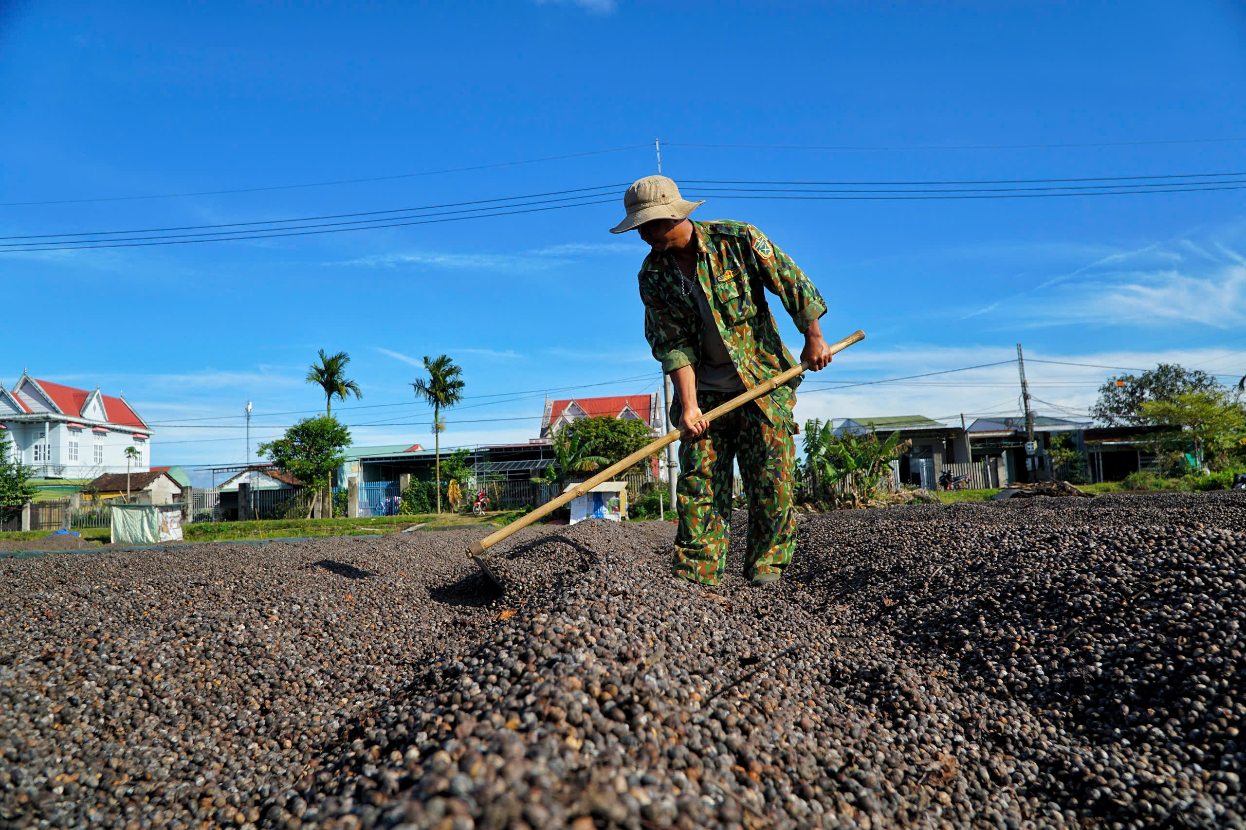 Đưa cà phê Đăk Hà vươn xa - Ảnh 2.