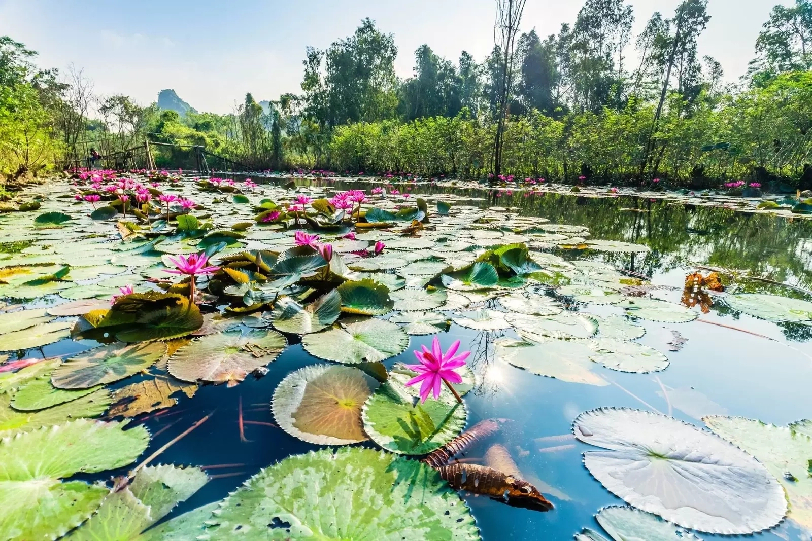 Cẩm nang du lịch Chùa Hương - 9