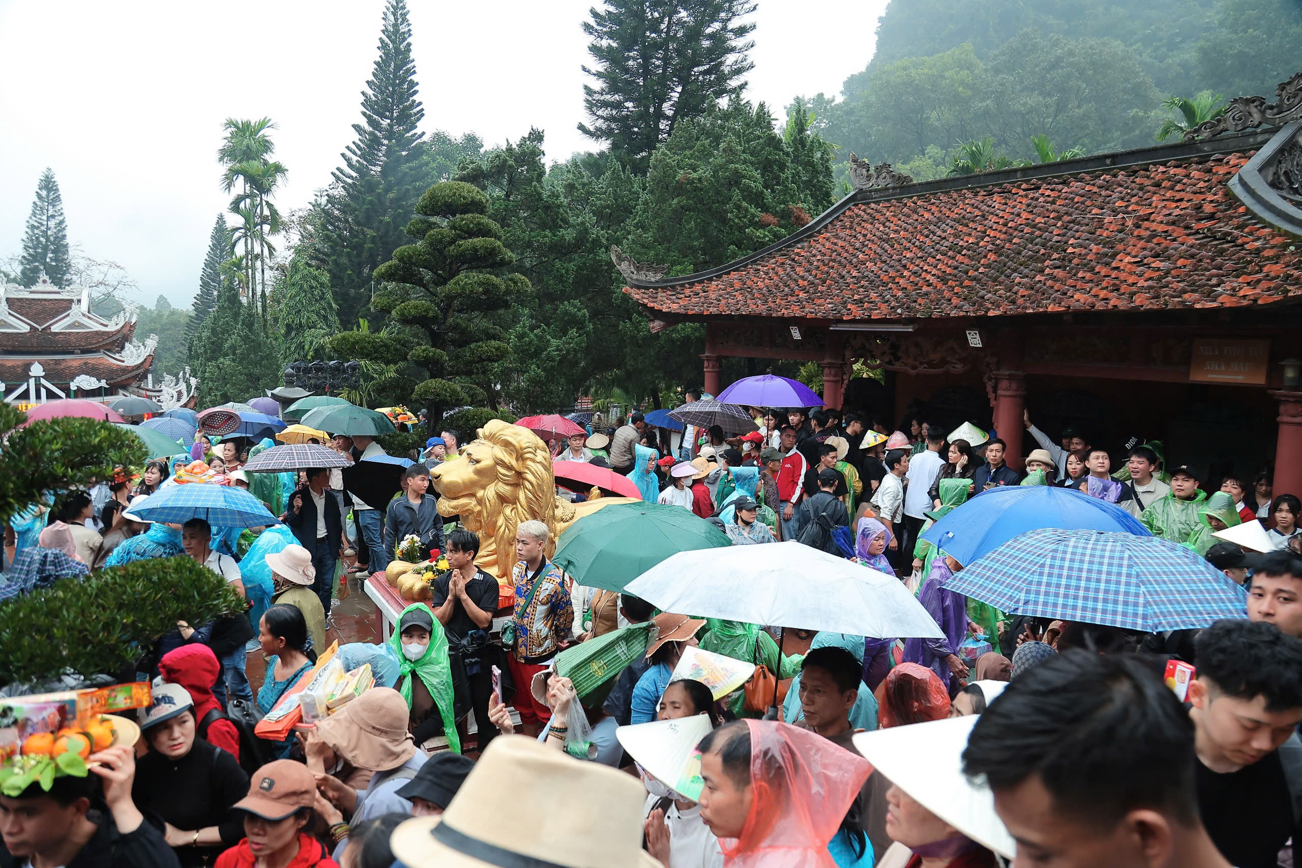 Hàng nghìn du khách 