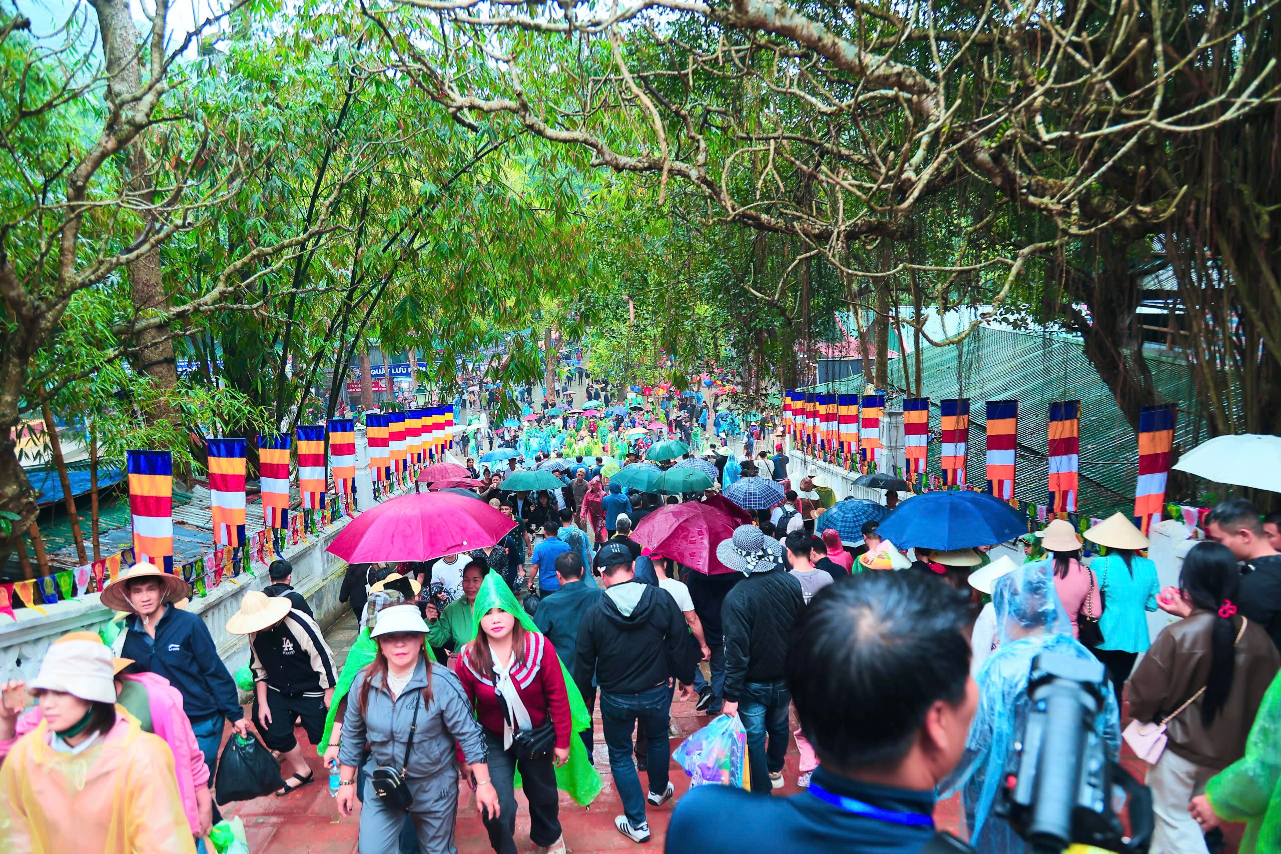 Hàng nghìn du khách 