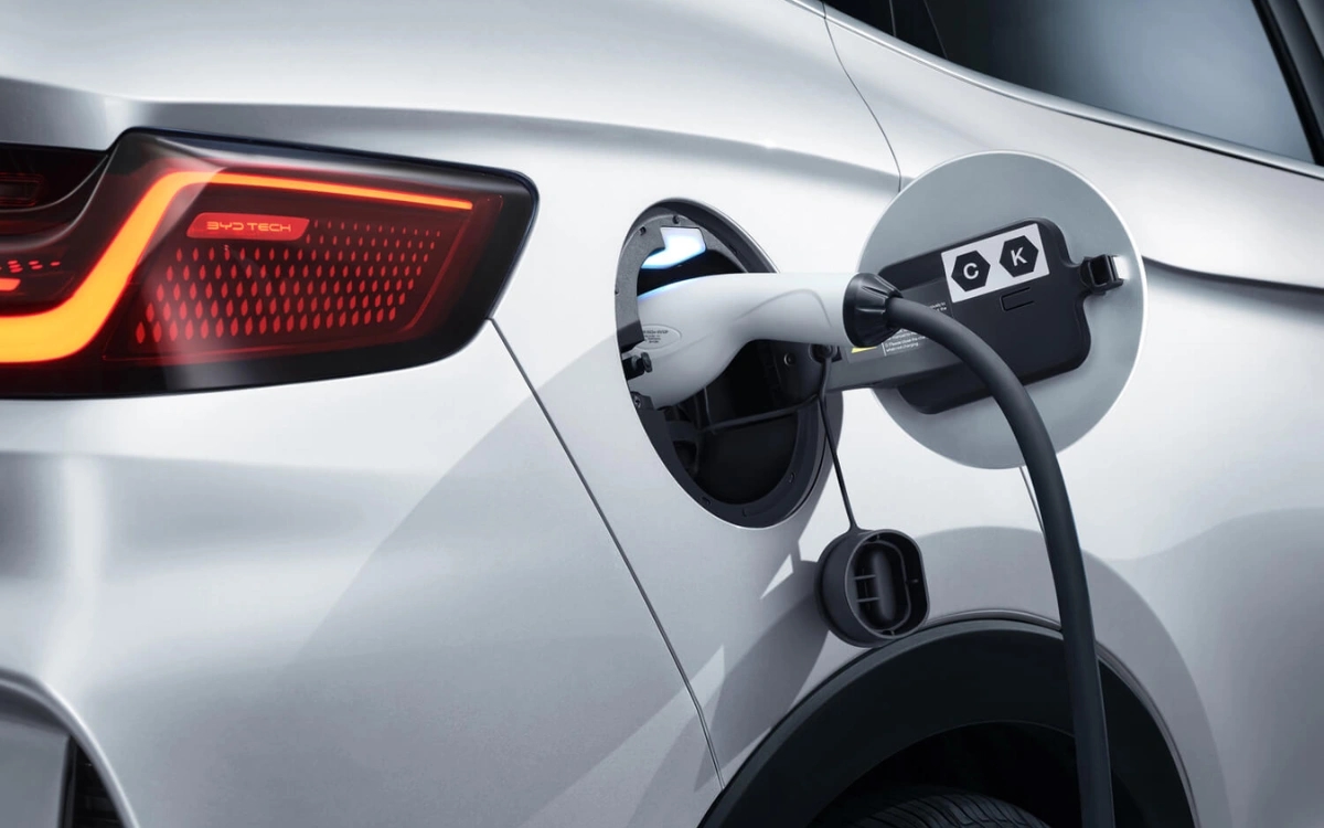 pin xe điện - Ảnh 3.