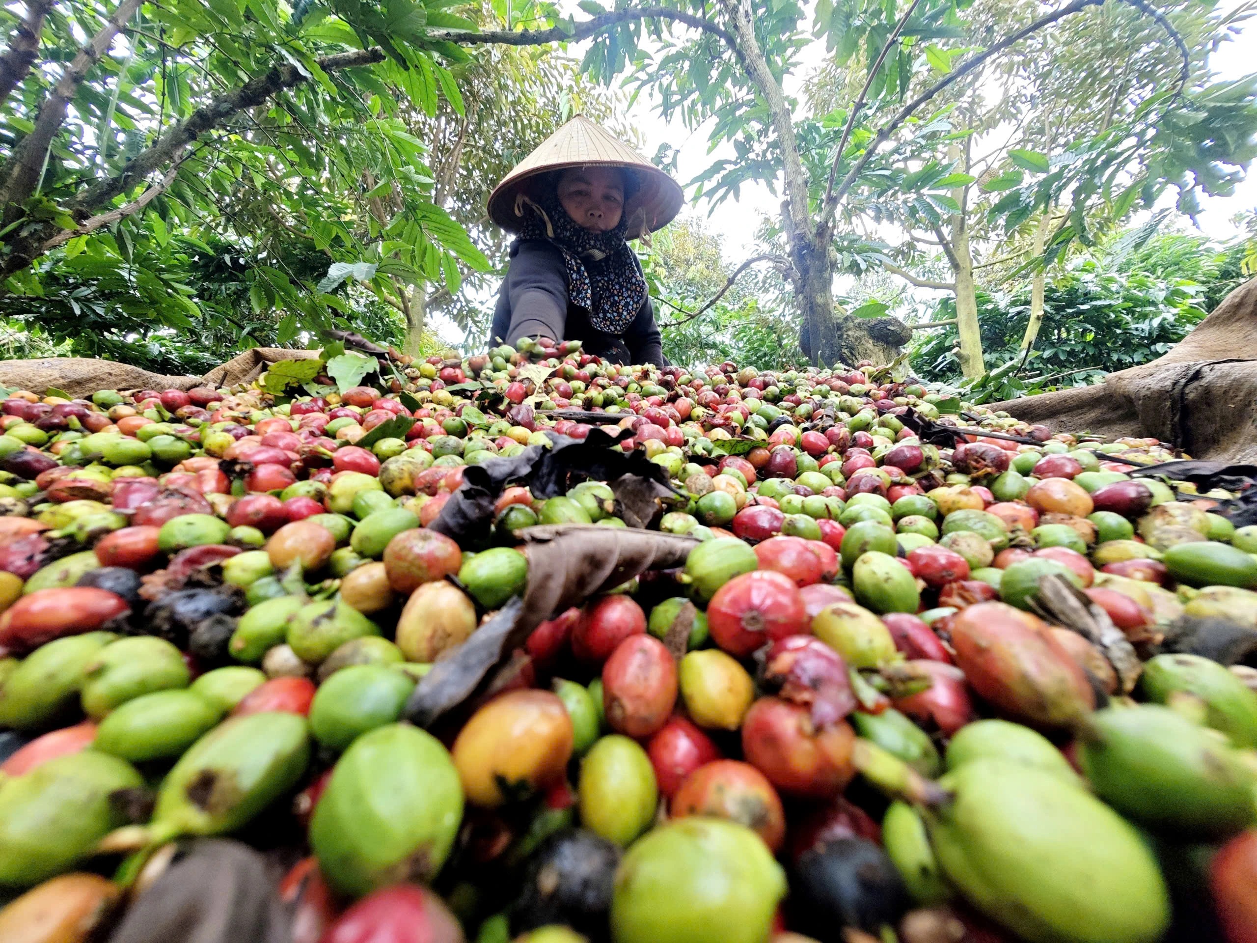 Xuất khẩu tăng tốc sớm- Ảnh 2. Xuất khẩu tăng tốc sớm- Ảnh 2.