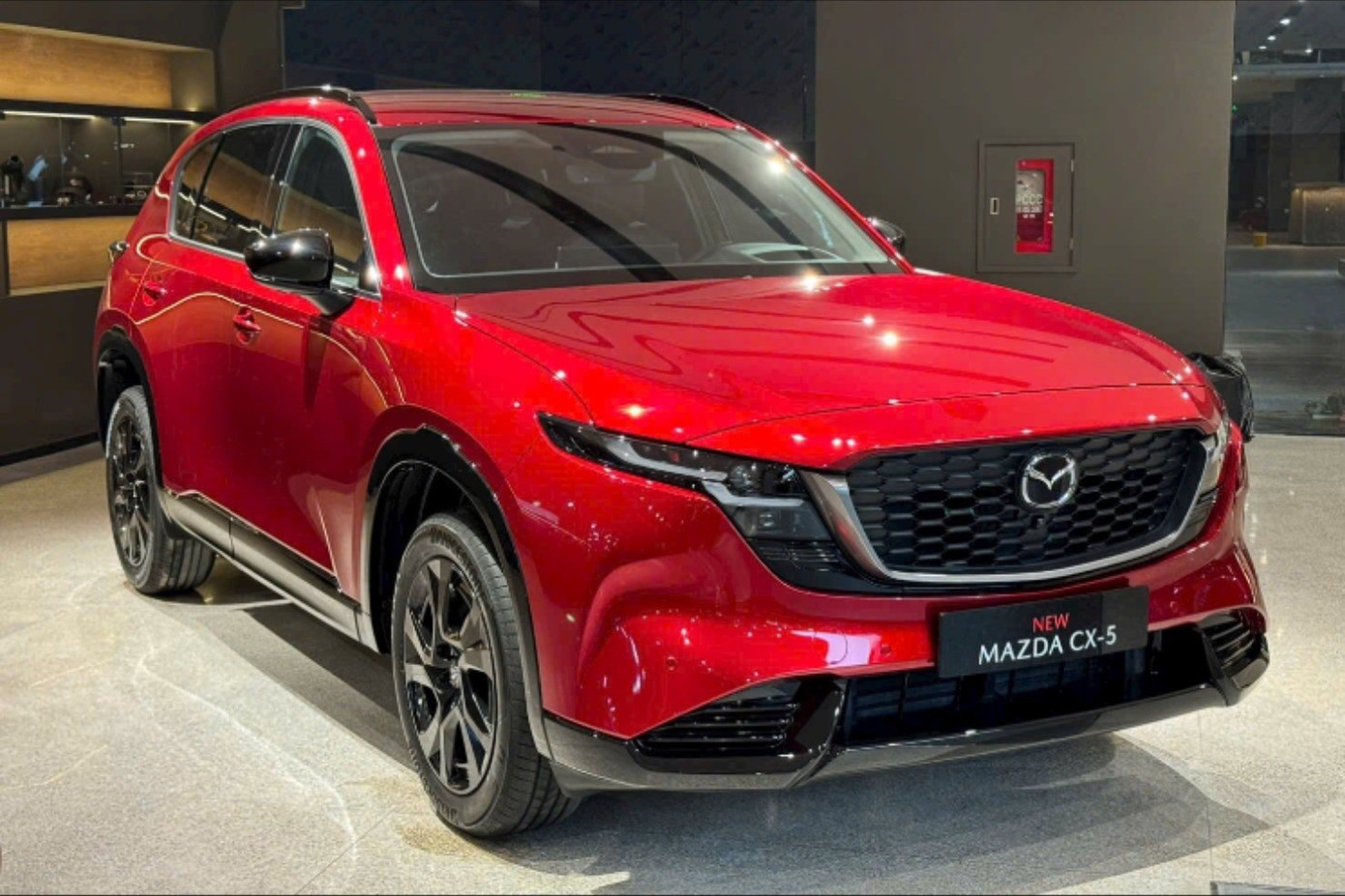 Những mẫu ô tô đáng chú ý ra mắt Việt Nam trong năm mới- Ảnh 2.