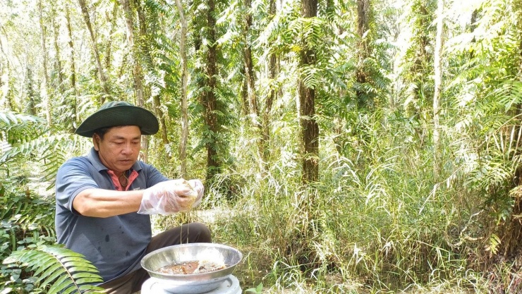 Du khách mê trải nghiệm ăn ong giữa rừng Cà Mau 4 Tuy nhiên, nhiều người cho rằng chuyến đi sẽ chưa trọn vẹn nếu chưa một lần tận mắt xem lấy mật ong và nếm thử bắp mật ngọt lịm ngay giữa rừng.