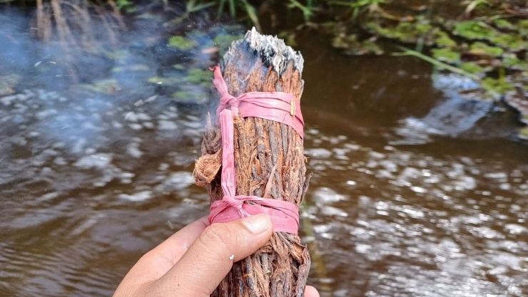 Du khách mê trải nghiệm ăn ong giữa rừng Cà Mau 6 Trước những tổ ong dài hơn 1 m treo lơ lửng trên cao, ông Bảnh dùng khói thổi mạnh vào tổ. Chỉ ít giây sau, hàng ngàn con ong bay ra bảo vệ “lãnh địa” với tiếng vo ve vang cả một góc rừng.