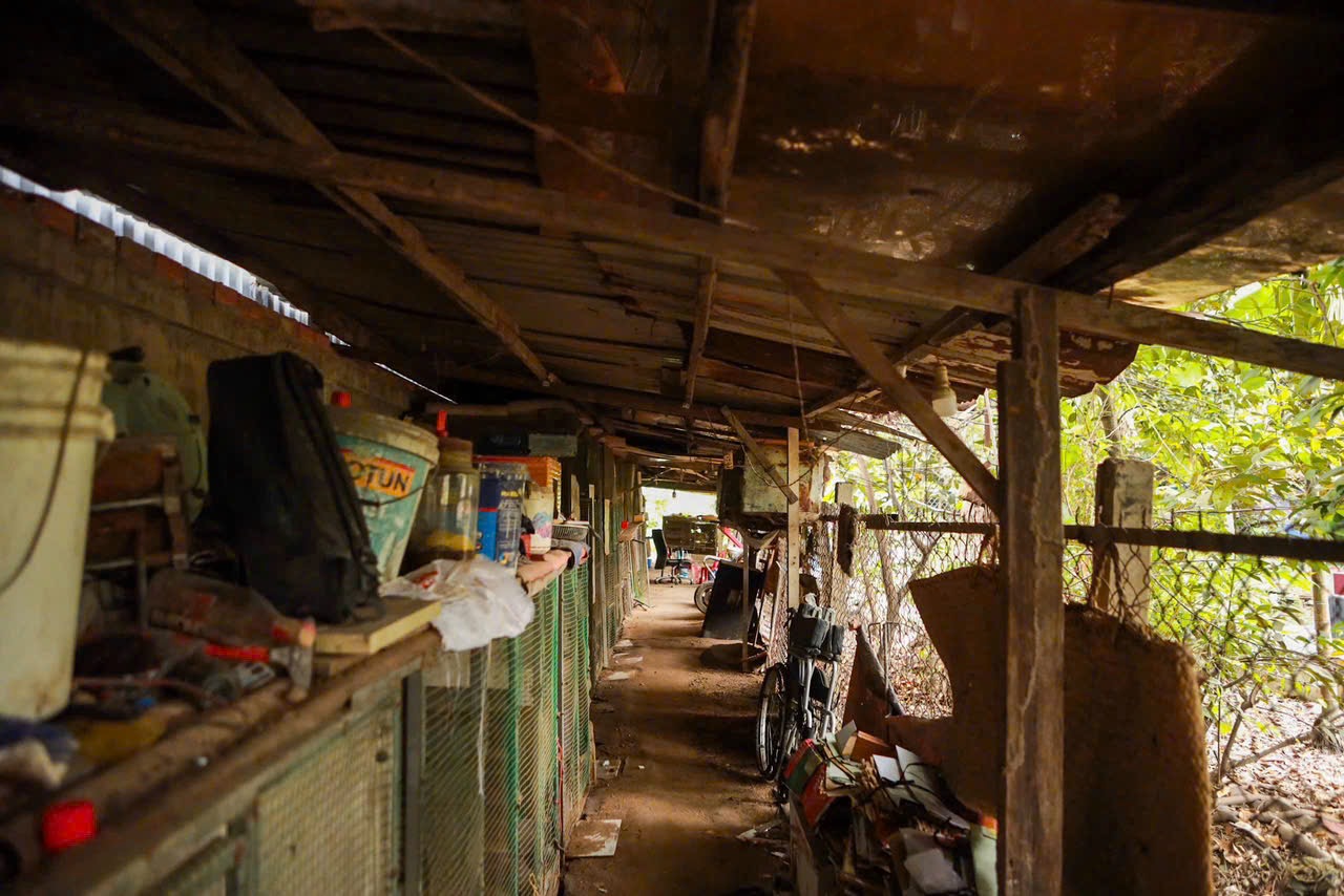 TP.HCM nhìn từ sông Sài Gòn: Thanh Đa 'độc bản', nhà chọc trời chờ mọc- Ảnh 9.