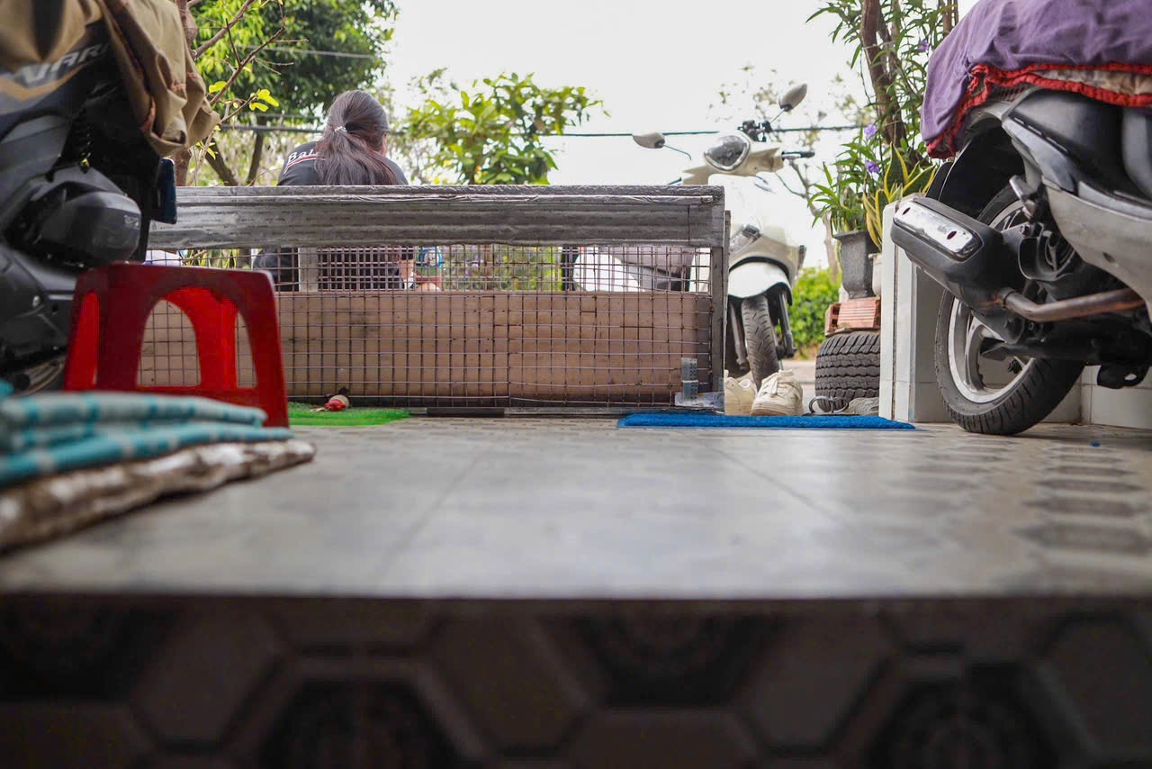 TP.HCM nhìn từ sông Sài Gòn: Thanh Đa 'độc bản', nhà chọc trời chờ mọc- Ảnh 11.