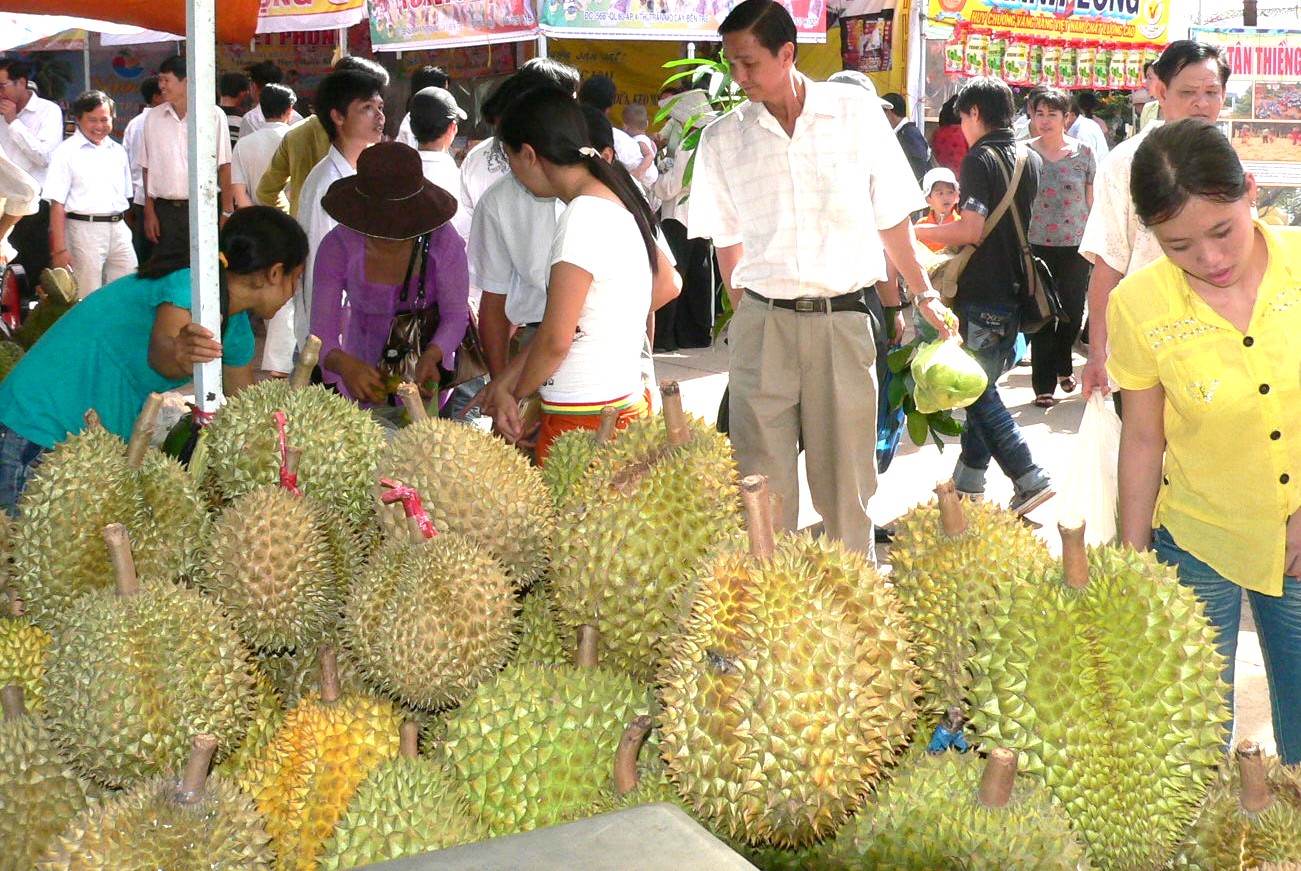 Vì sao giá sầu riêng 