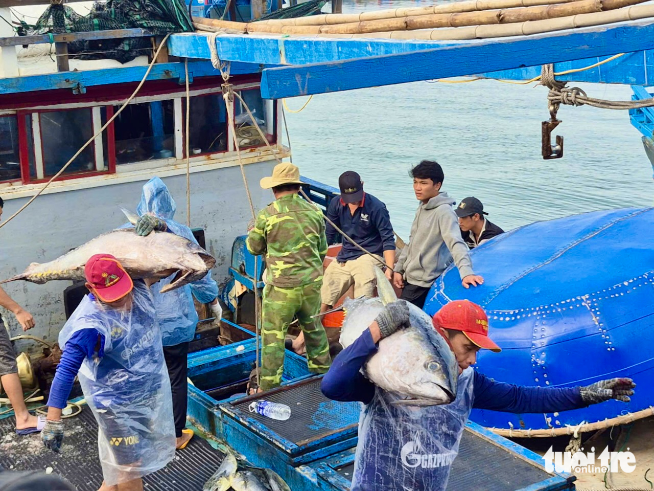 Cảng cá Phú Yên cũ, Khánh Hòa nhộn nhịp đón 'lộc biển' từ những chuyến tàu xuyên Tết - Ảnh 3.