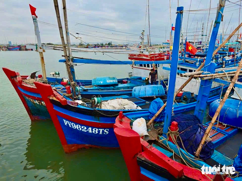 ngư dân - Ảnh 4.