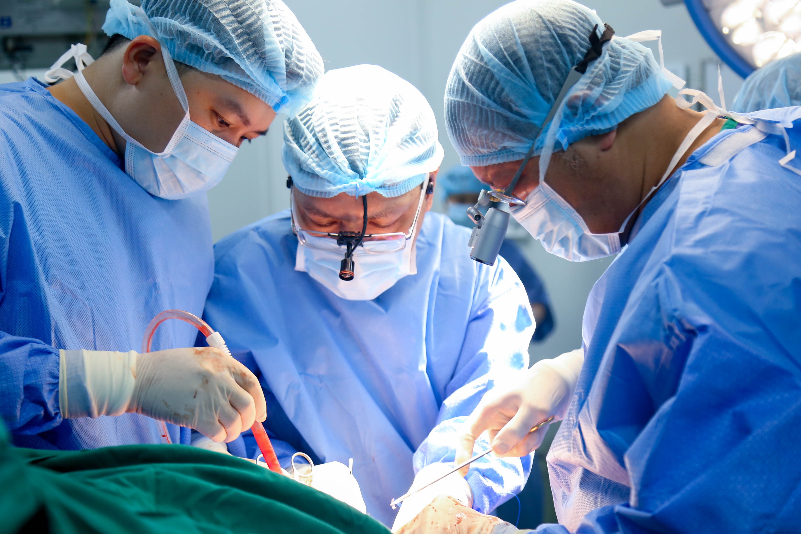 hiến tạng - Ảnh 2.