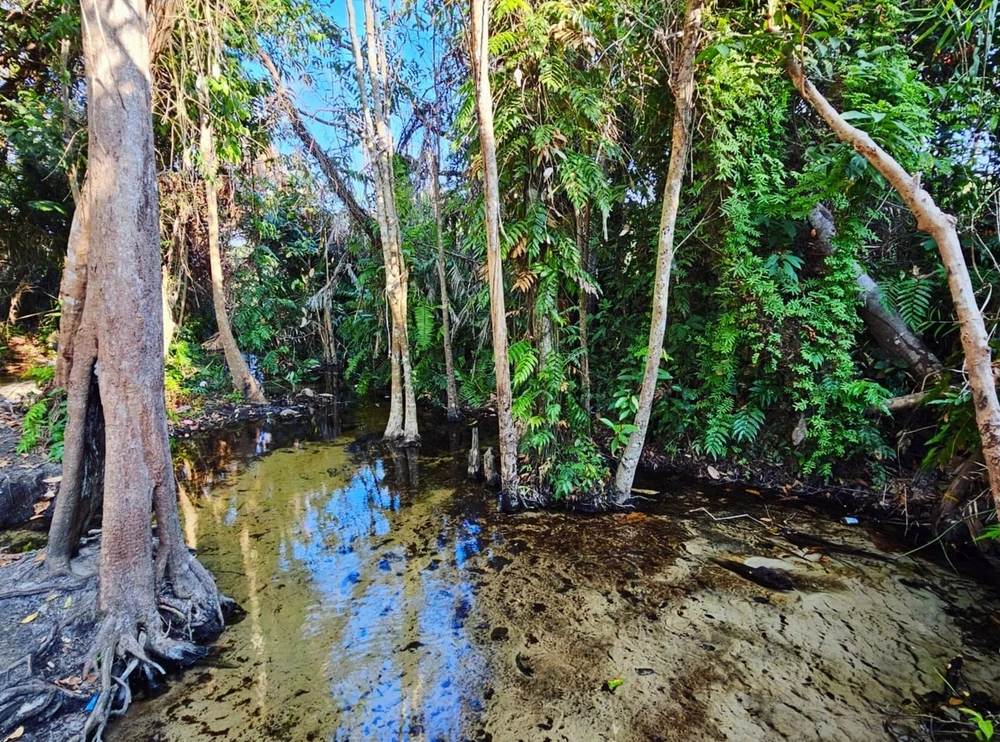 suoi-nuoc-nong (3).jpg