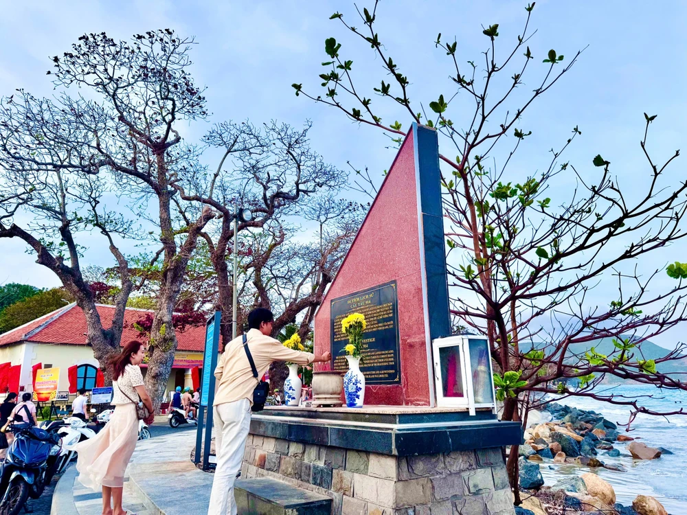 côn đảo,bàng cổ thụ,mùa thay lá