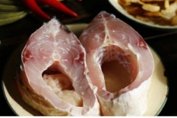 Việt Nam có loại cá thịt dày, ngọt béo lại “siêu dinh dưỡng” chẳng kém nhân sâm