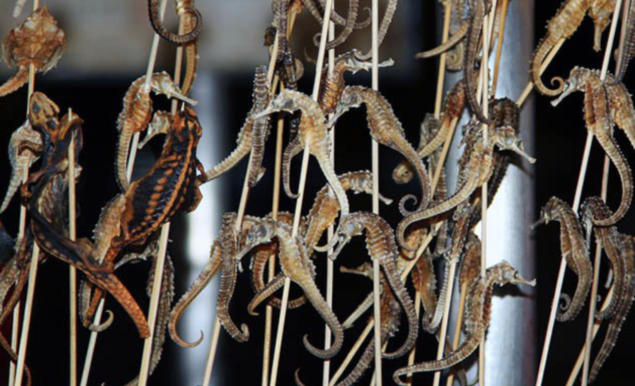 7 món đặc sản kinh dị ở Trung Quốc: Nhìn ảnh đã rùng mình, nói gì đến chuyện nếm thử- Ảnh 3.