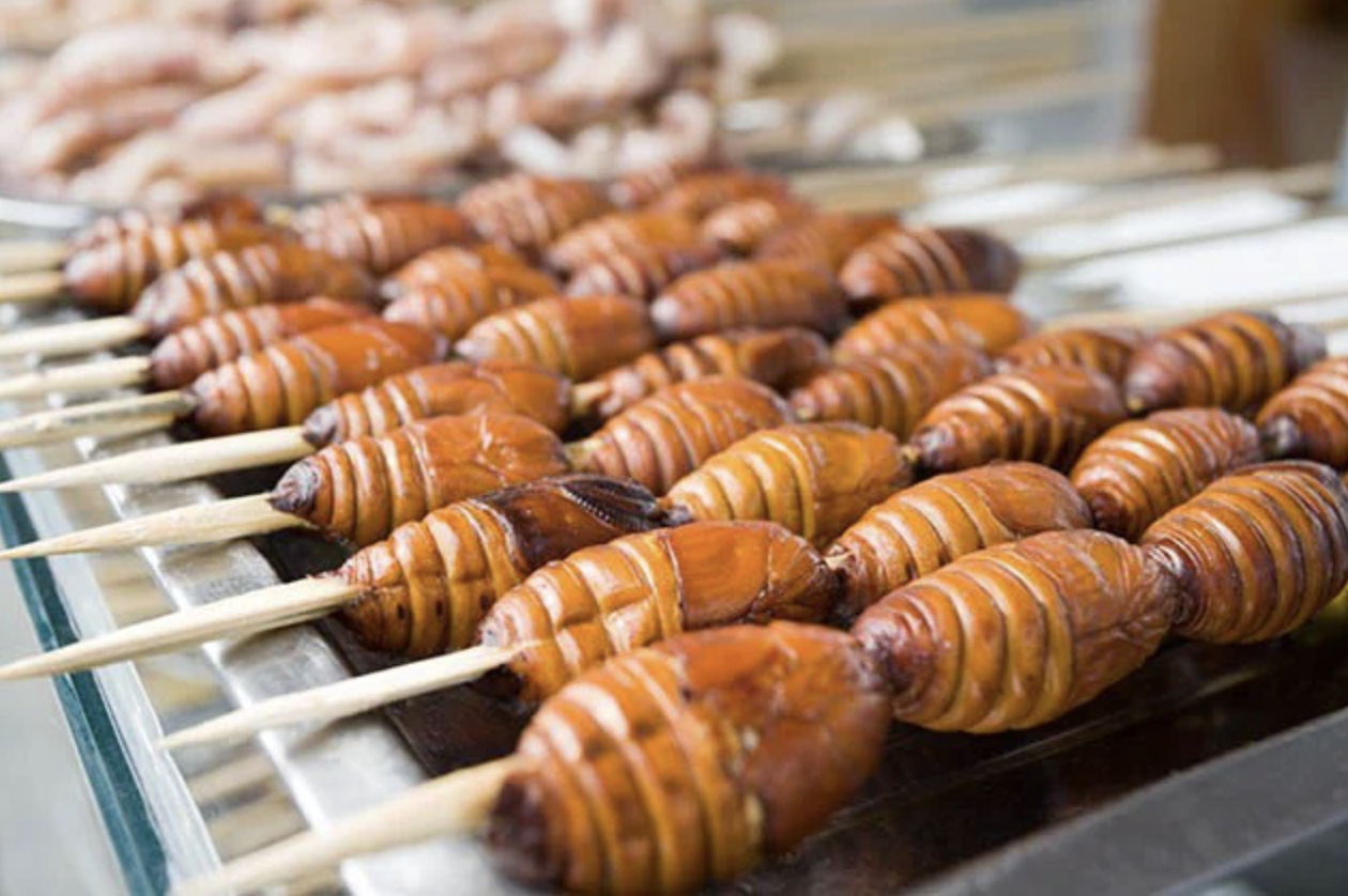 7 món đặc sản kinh dị ở Trung Quốc: Nhìn ảnh đã rùng mình, nói gì đến chuyện nếm thử- Ảnh 7.