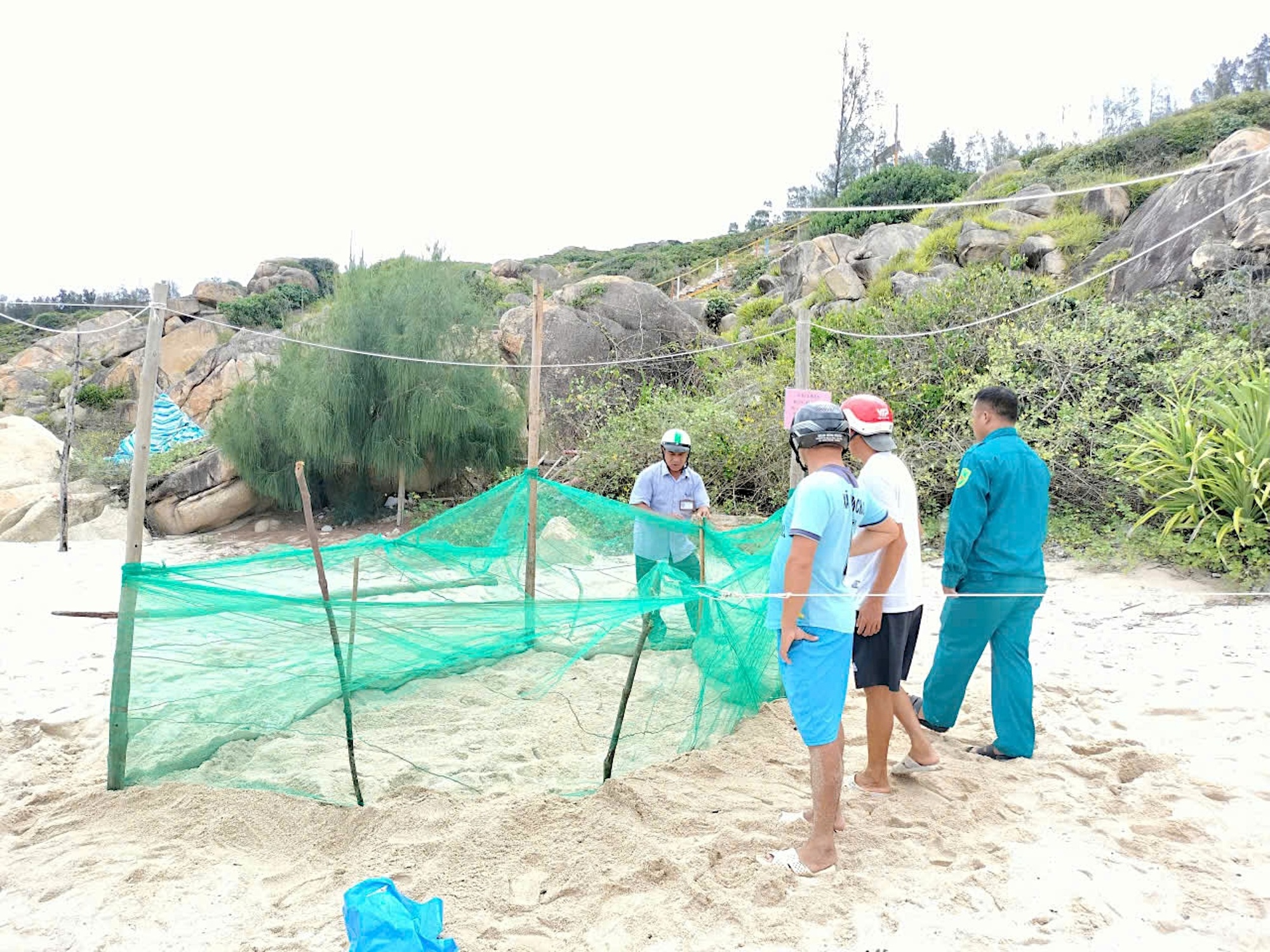 Nơi san hô nảy chồi và rùa biển tái xuất- Ảnh 4.