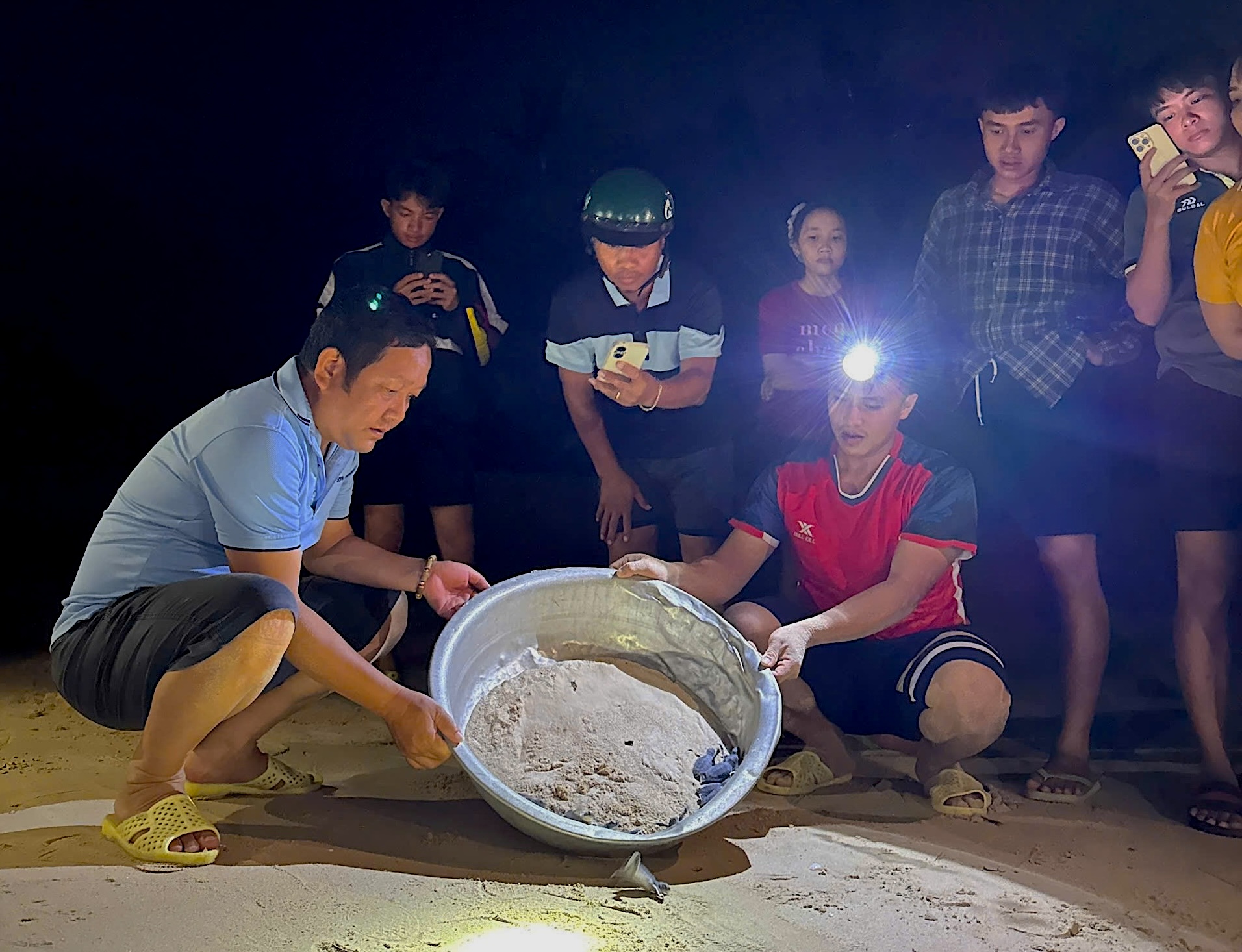 Nơi san hô nảy chồi và rùa biển tái xuất- Ảnh 7.