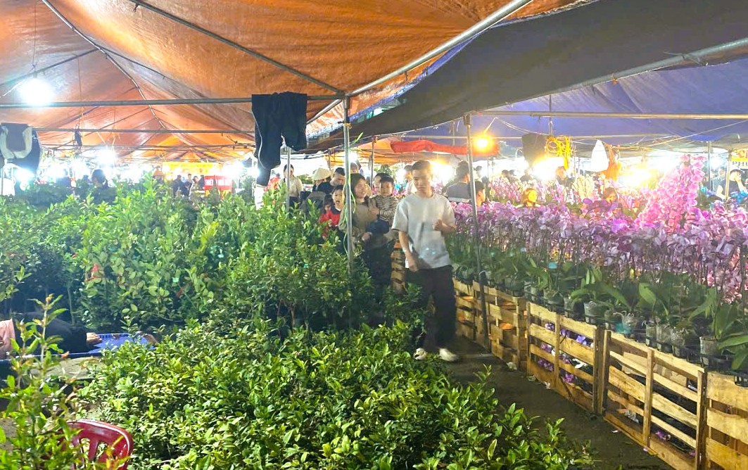 - Ảnh 9. - Ảnh 9.