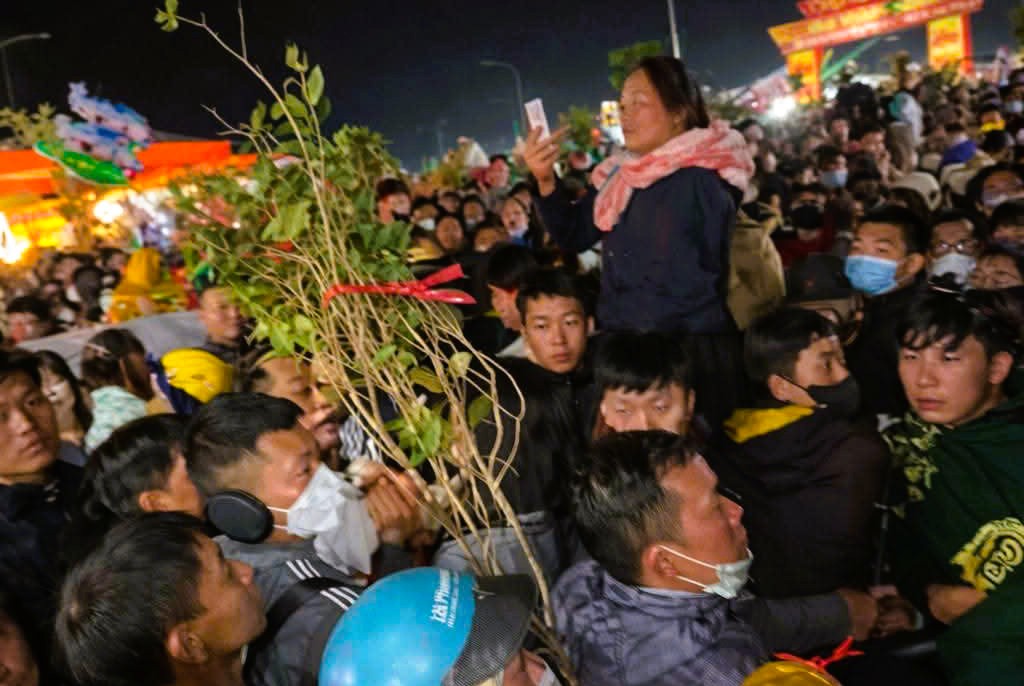 - Ảnh 11. - Ảnh 11.