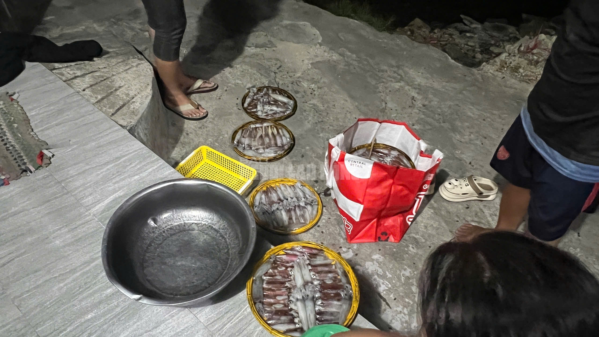 Ngư dân Huế thu tiền triệu từ mực tươi nhờ quản lý IUU hiệu quả năm 2026 - Ảnh 5. Ngư dân Huế thu tiền triệu từ mực tươi nhờ quản lý IUU hiệu quả năm 2026 - Ảnh 5.